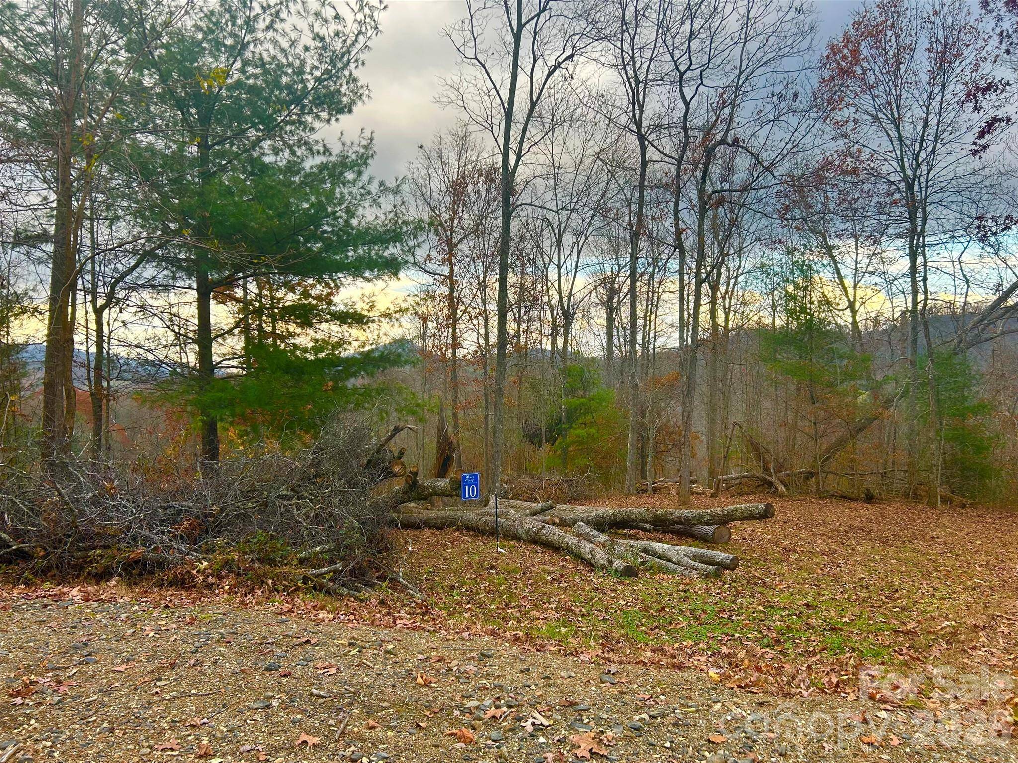 00000 High Peak RDG #10, Green Mountain, NC 28740