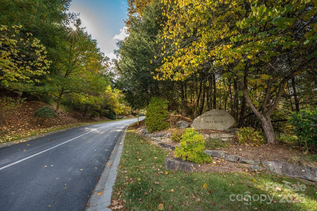 99999 Shining Rock PATH, Horse Shoe, NC 28742