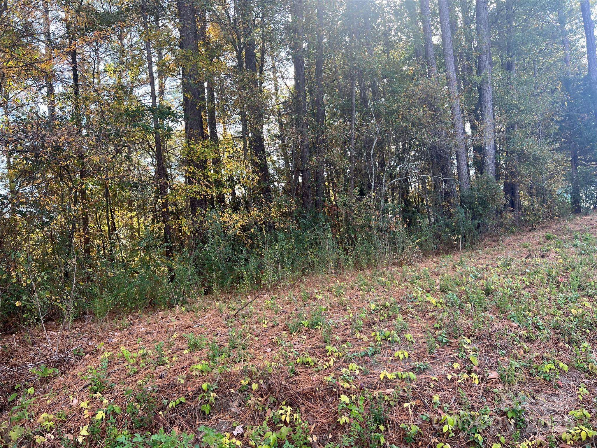0 Alexander ST, Dallas, NC 28034