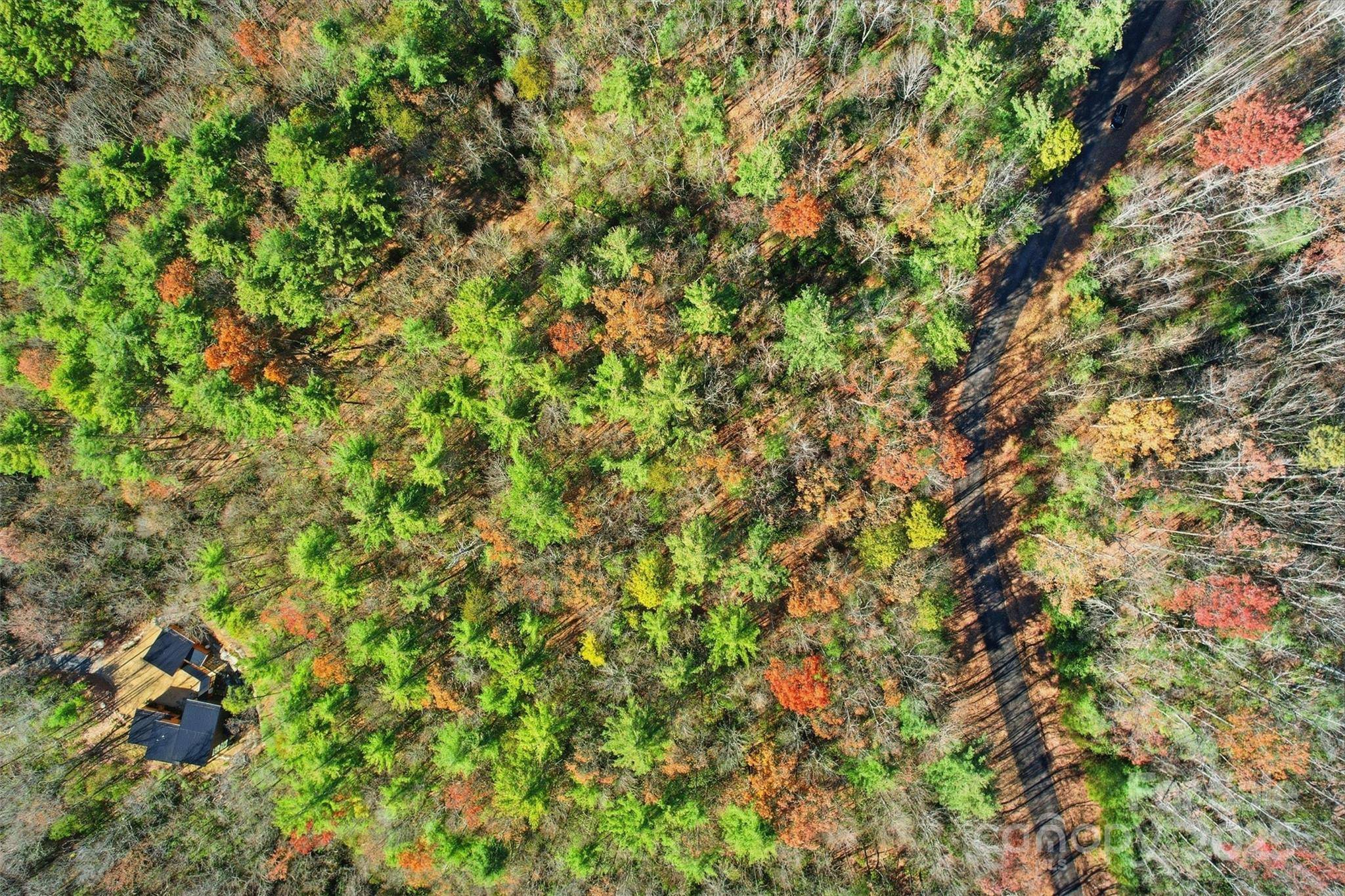 Lot 75 Peppervine CIR, Rosman, NC 28712