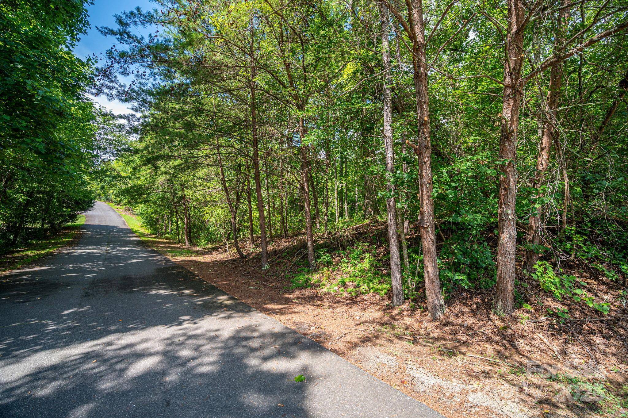 Lot 26 Line DR, Forest City, NC 28043