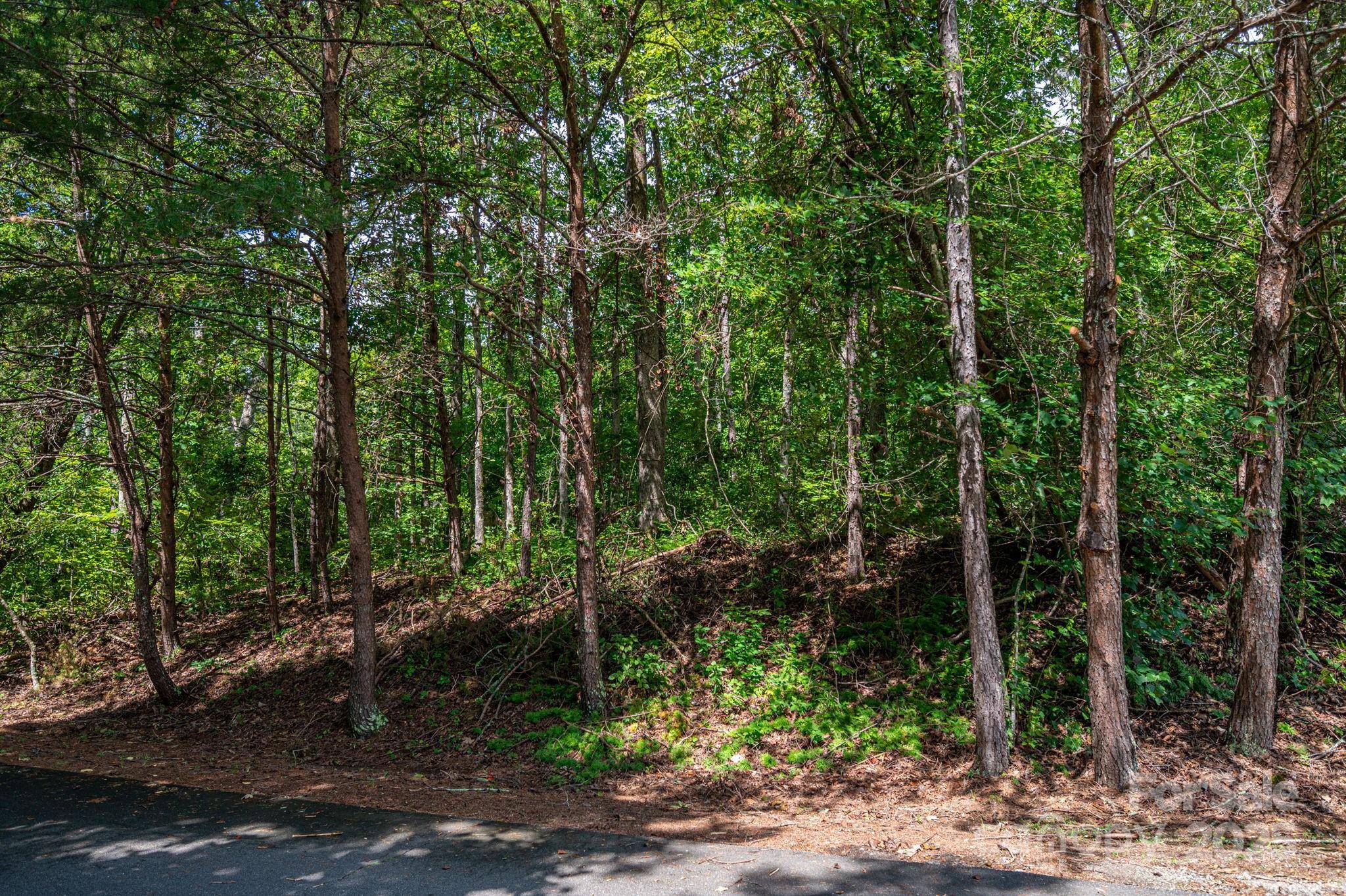 Lot 26 Line DR, Forest City, NC 28043