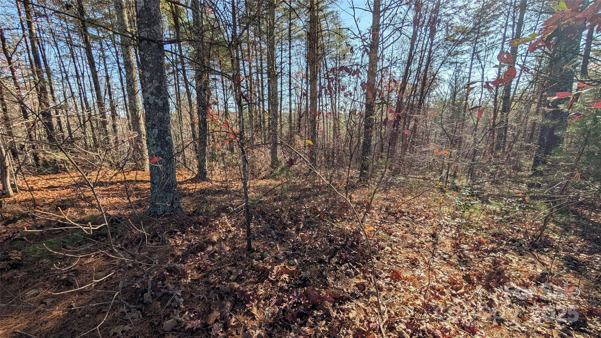1111 Table View DR, Morganton, NC 28655