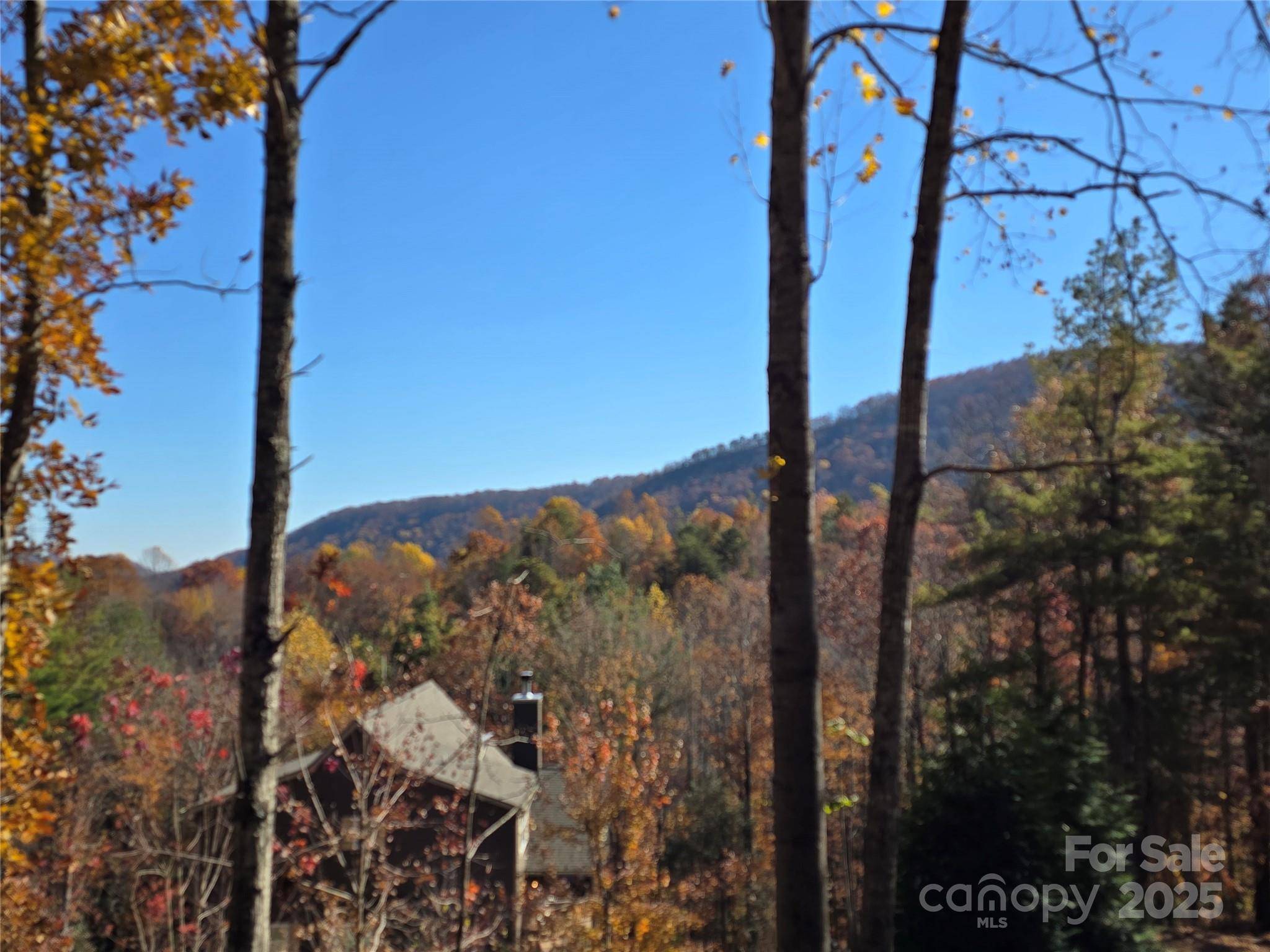 295 S Feather Falls TRL #50, Black Mountain, NC 28711