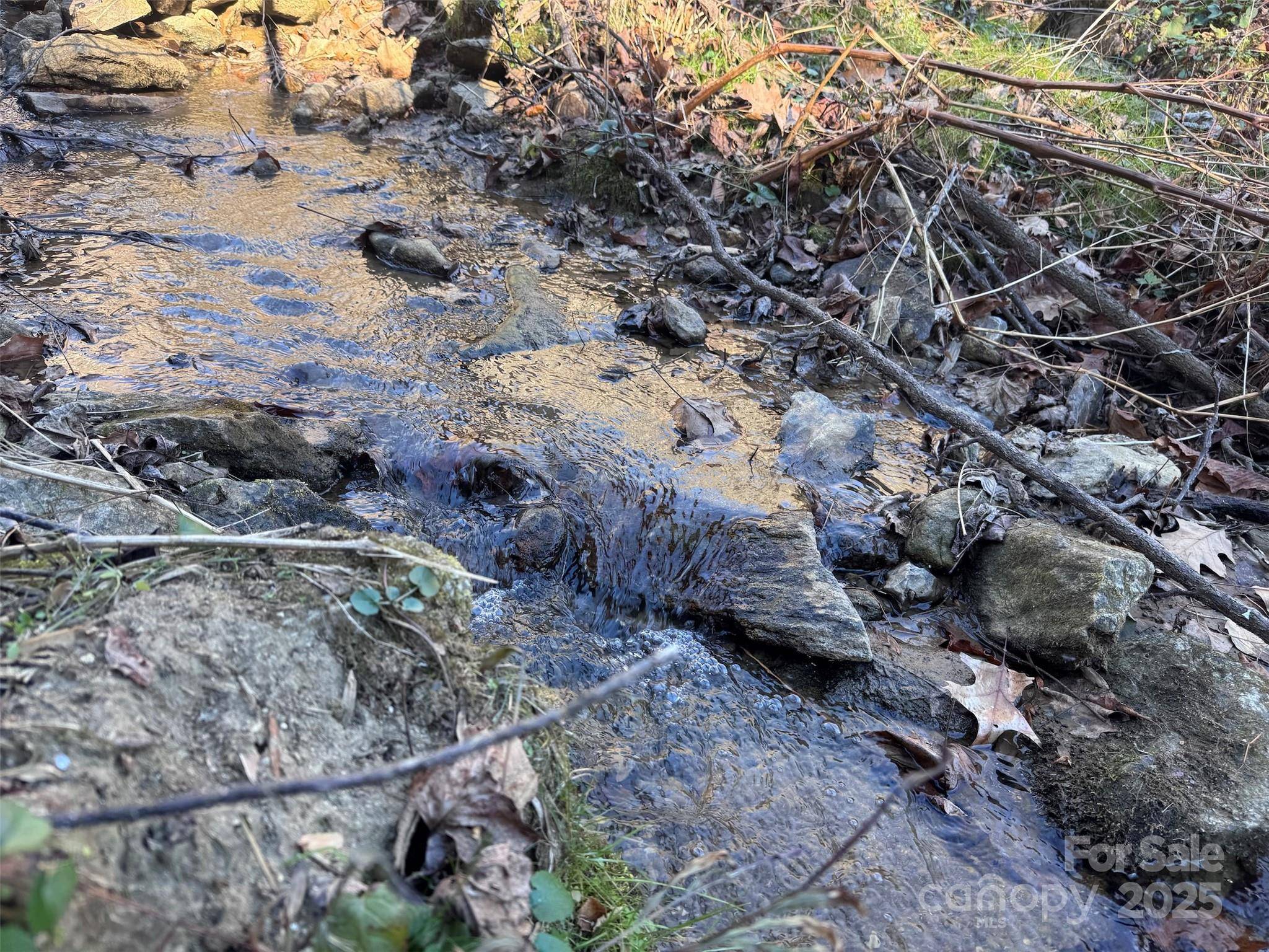 15 +/- Acres Riddle Branch RD, Burnsville, NC 28714
