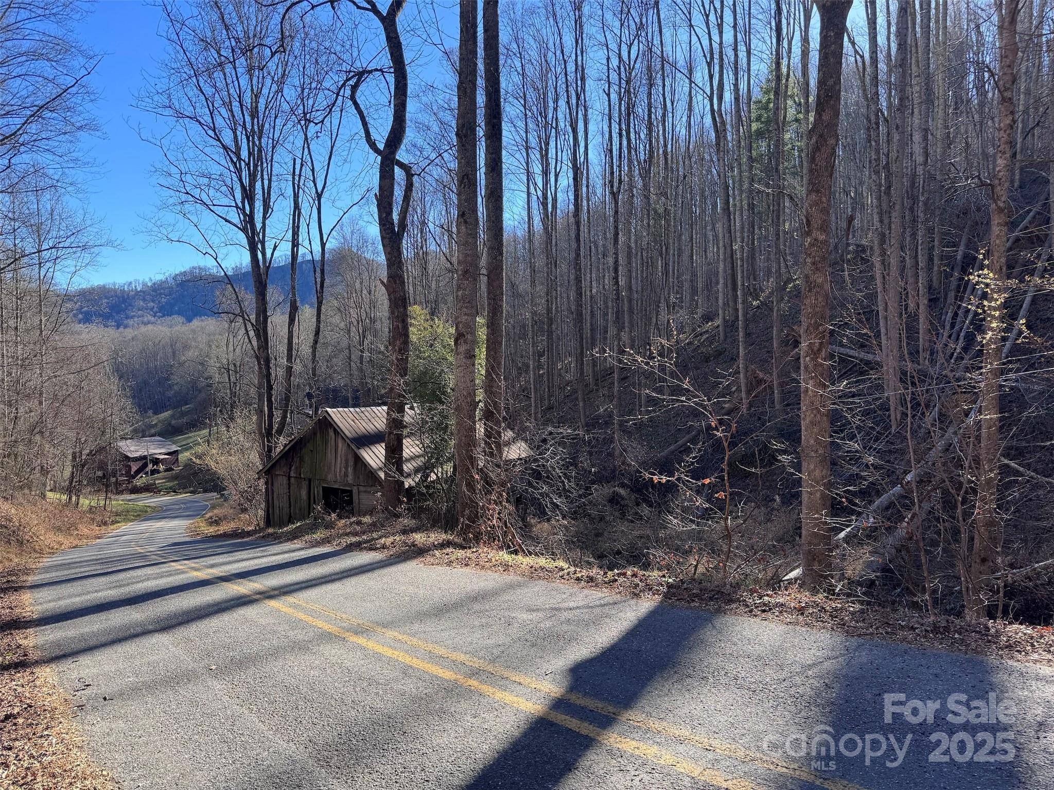 15 +/- Acres Riddle Branch RD, Burnsville, NC 28714