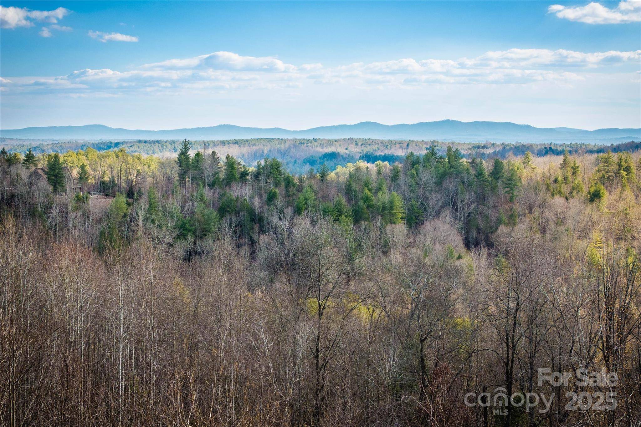 1030 River Club RDG, Lenoir, NC 28645