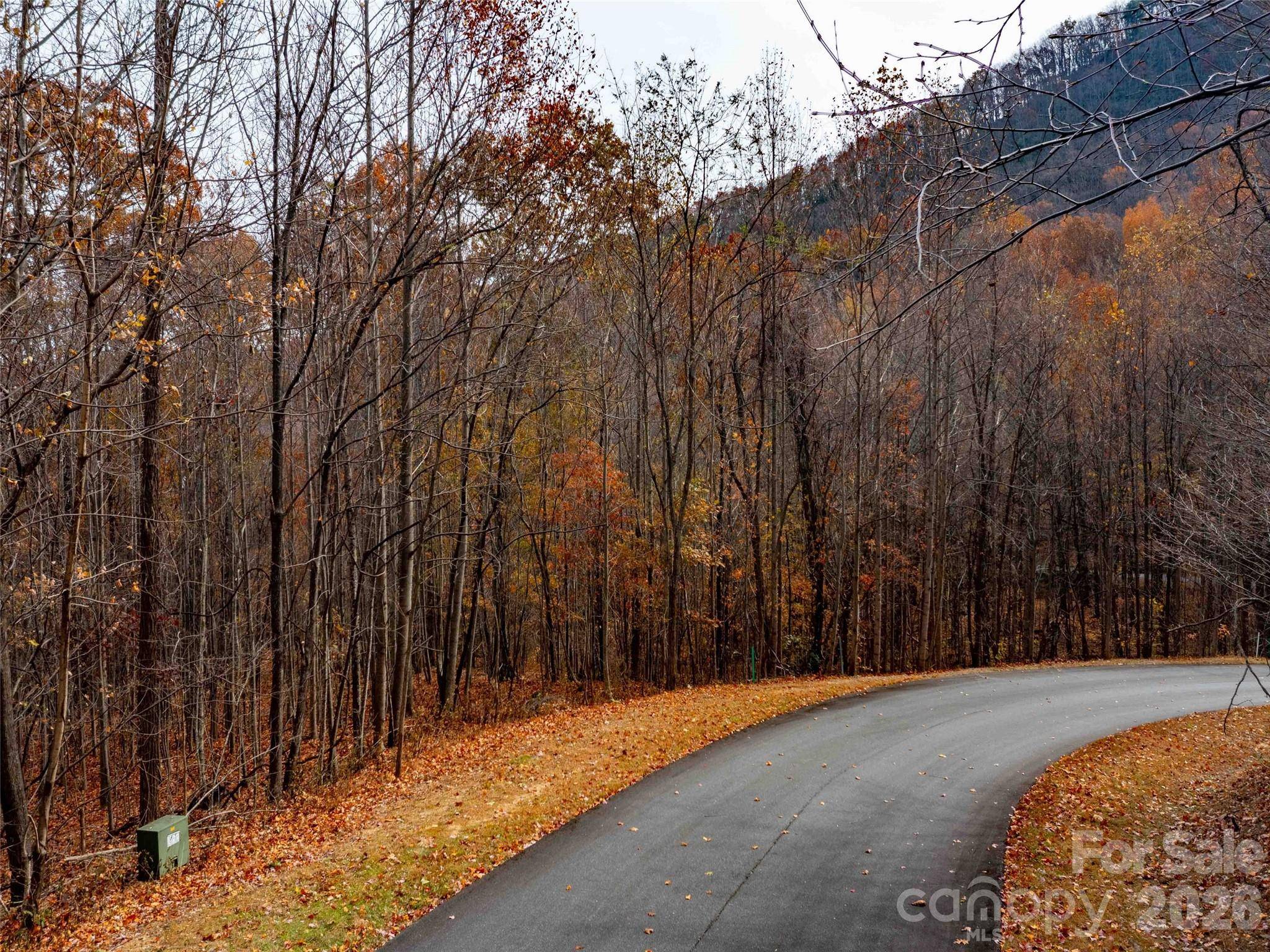 Lot 2110 Harm Creek LOOP, Mill Spring, NC 28756