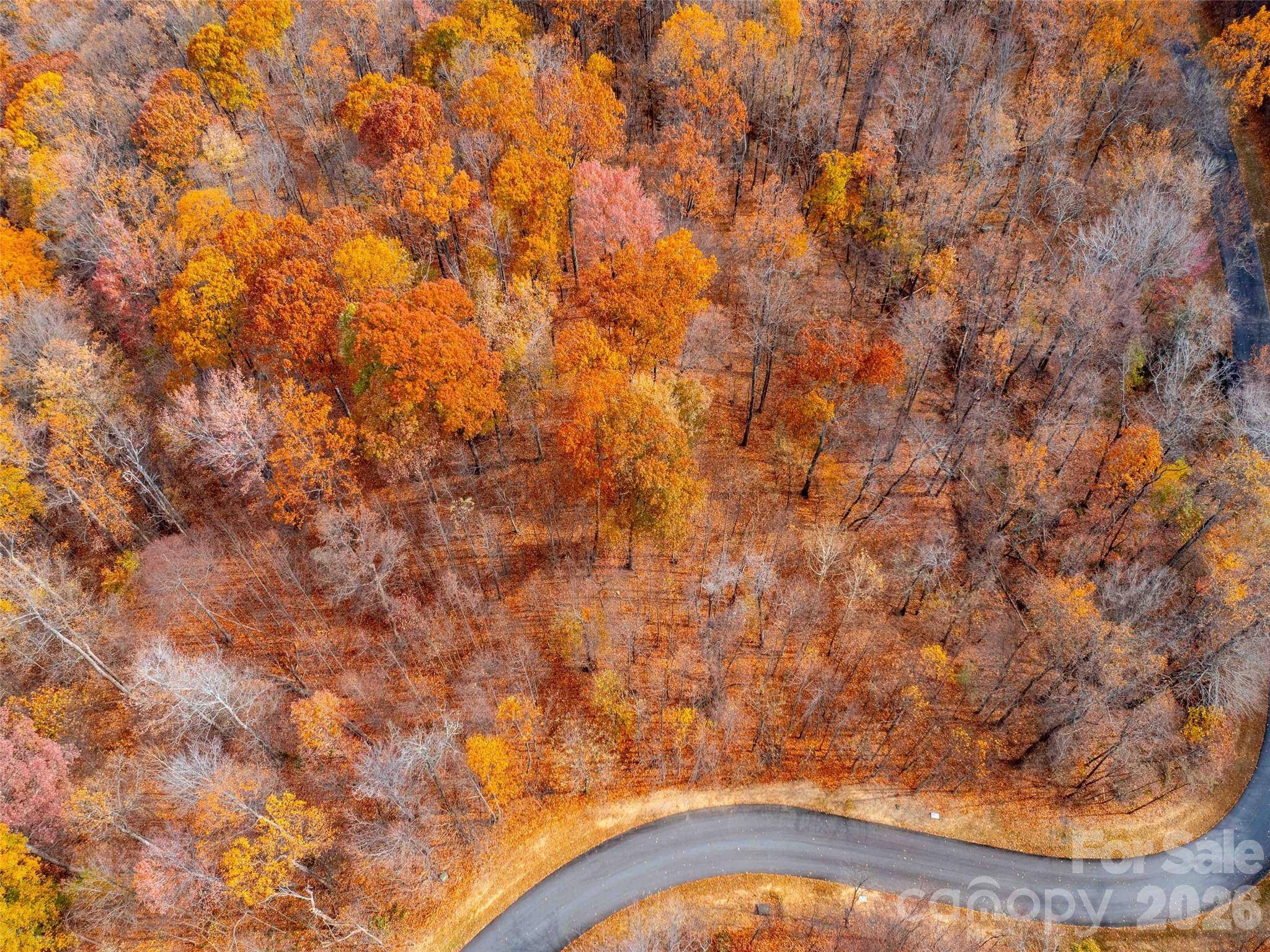 Lot 2110 Harm Creek LOOP, Mill Spring, NC 28756