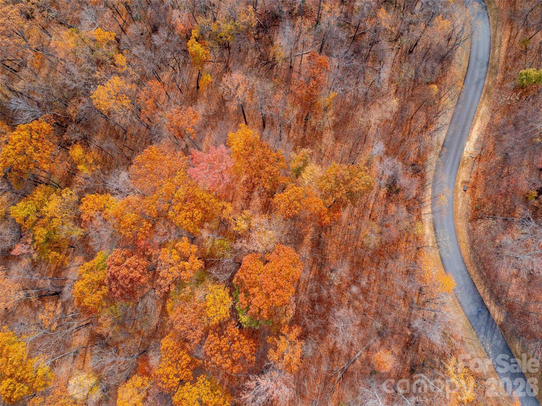 Lot 2110 Harm Creek LOOP, Mill Spring, NC 28756