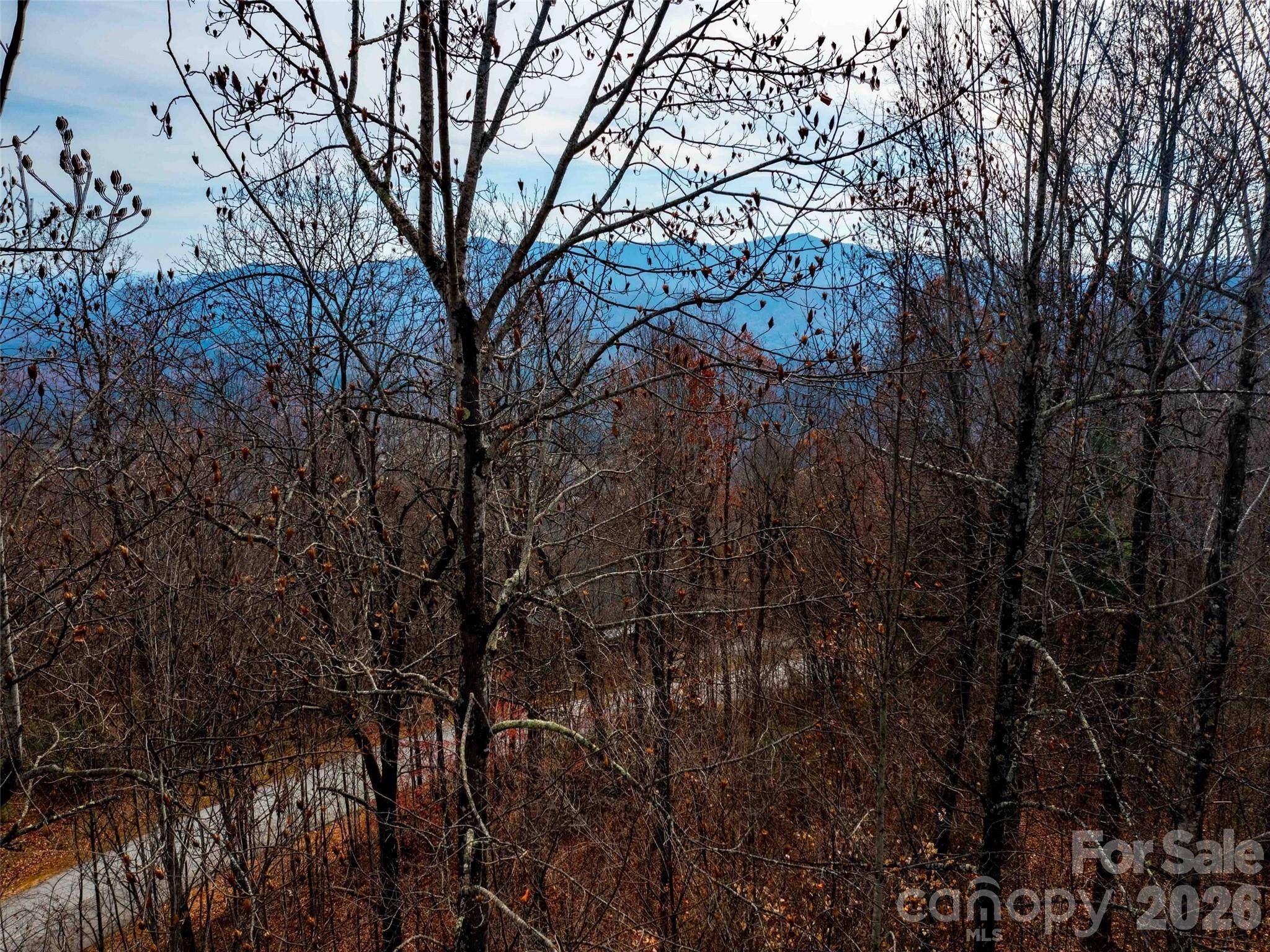Lot 253 Haddington DR, Mill Spring, NC 28756