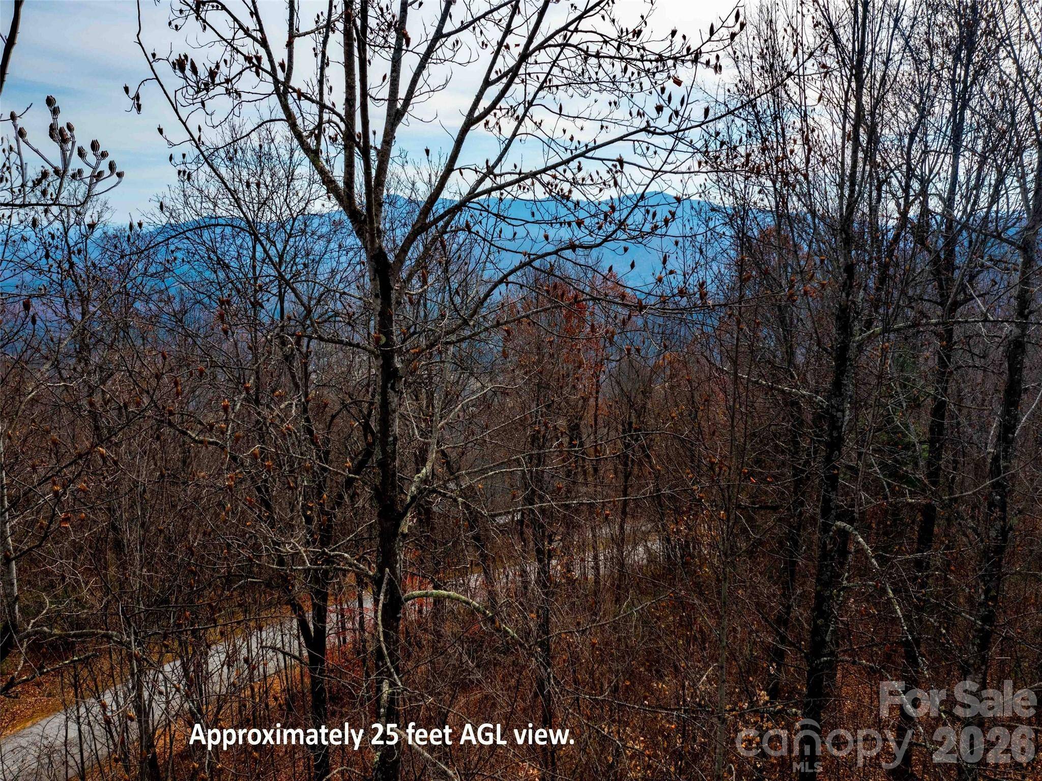 Lot 253 Haddington DR, Mill Spring, NC 28756