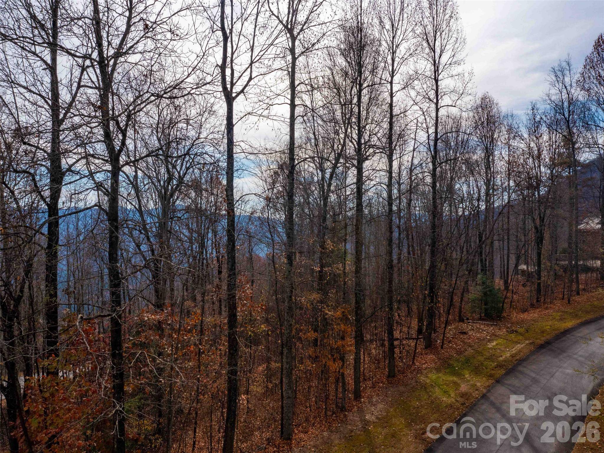 Lot 253 Haddington DR, Mill Spring, NC 28756
