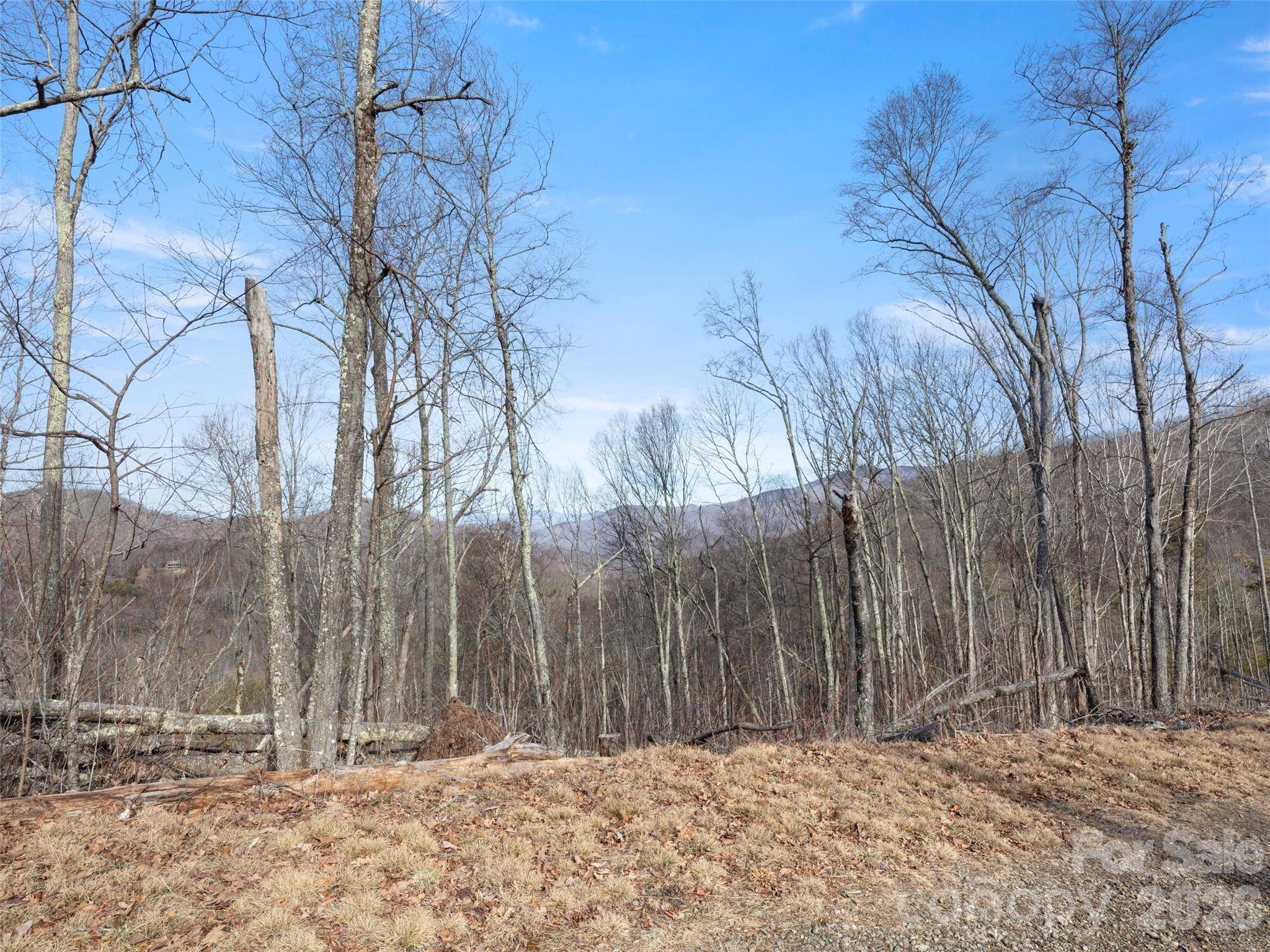 TBD S Ridge Runner RD, Burnsville, NC 28714