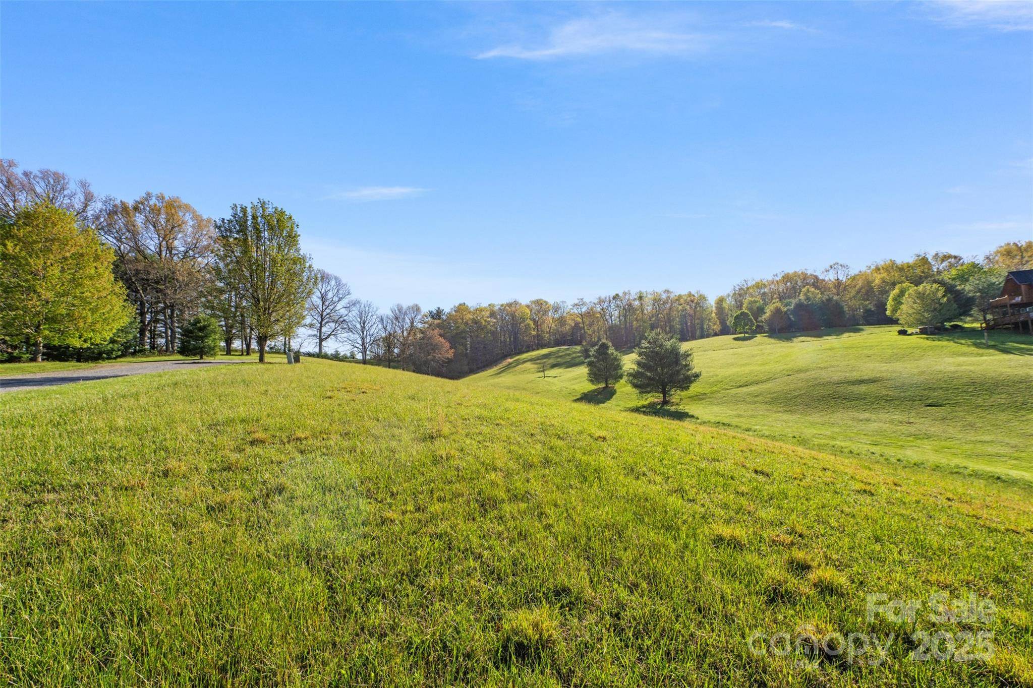 TBD (Lot 29) Pond View LN #29, Sparta, NC 28675