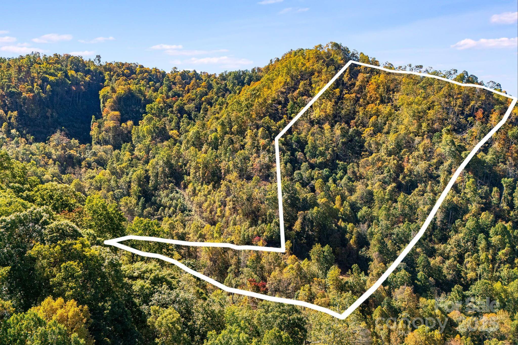000 Hamburg RD #17, Mars Hill, NC 28754