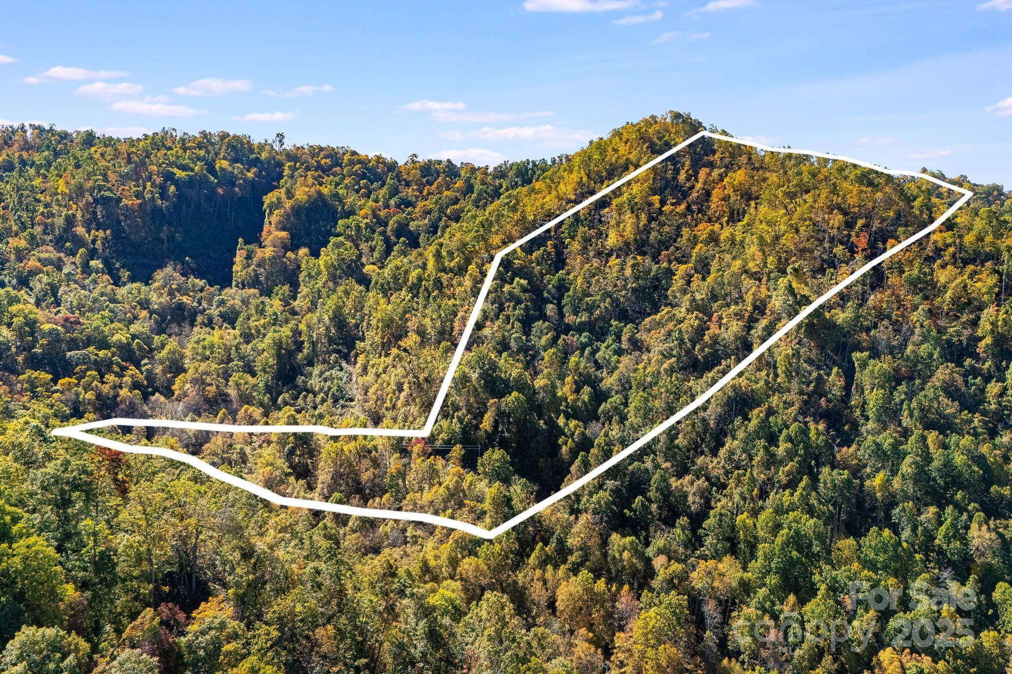 000 Hamburg RD #17, Mars Hill, NC 28754