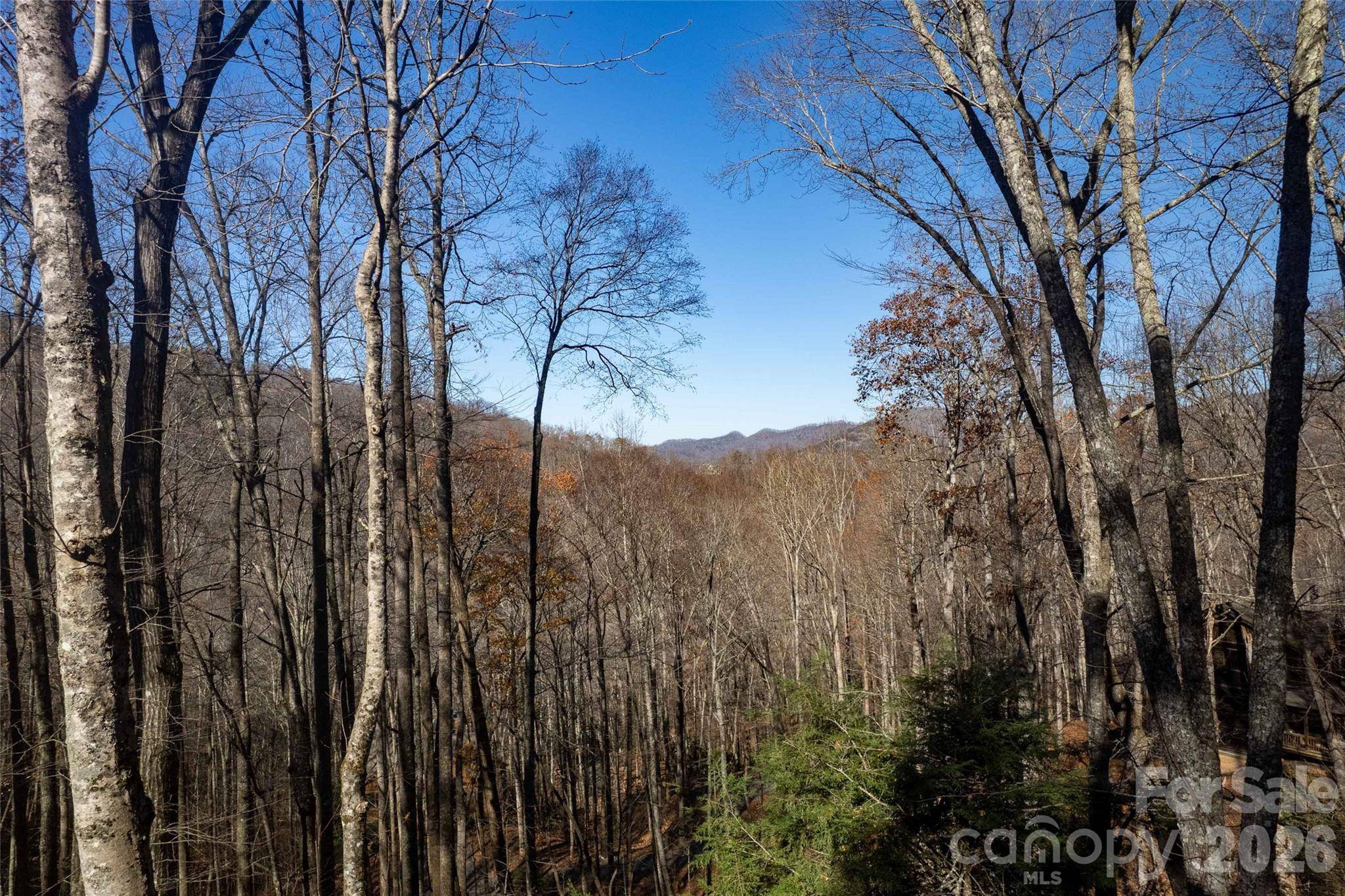 126 Mossycup CT, Tuckasegee, NC 28783