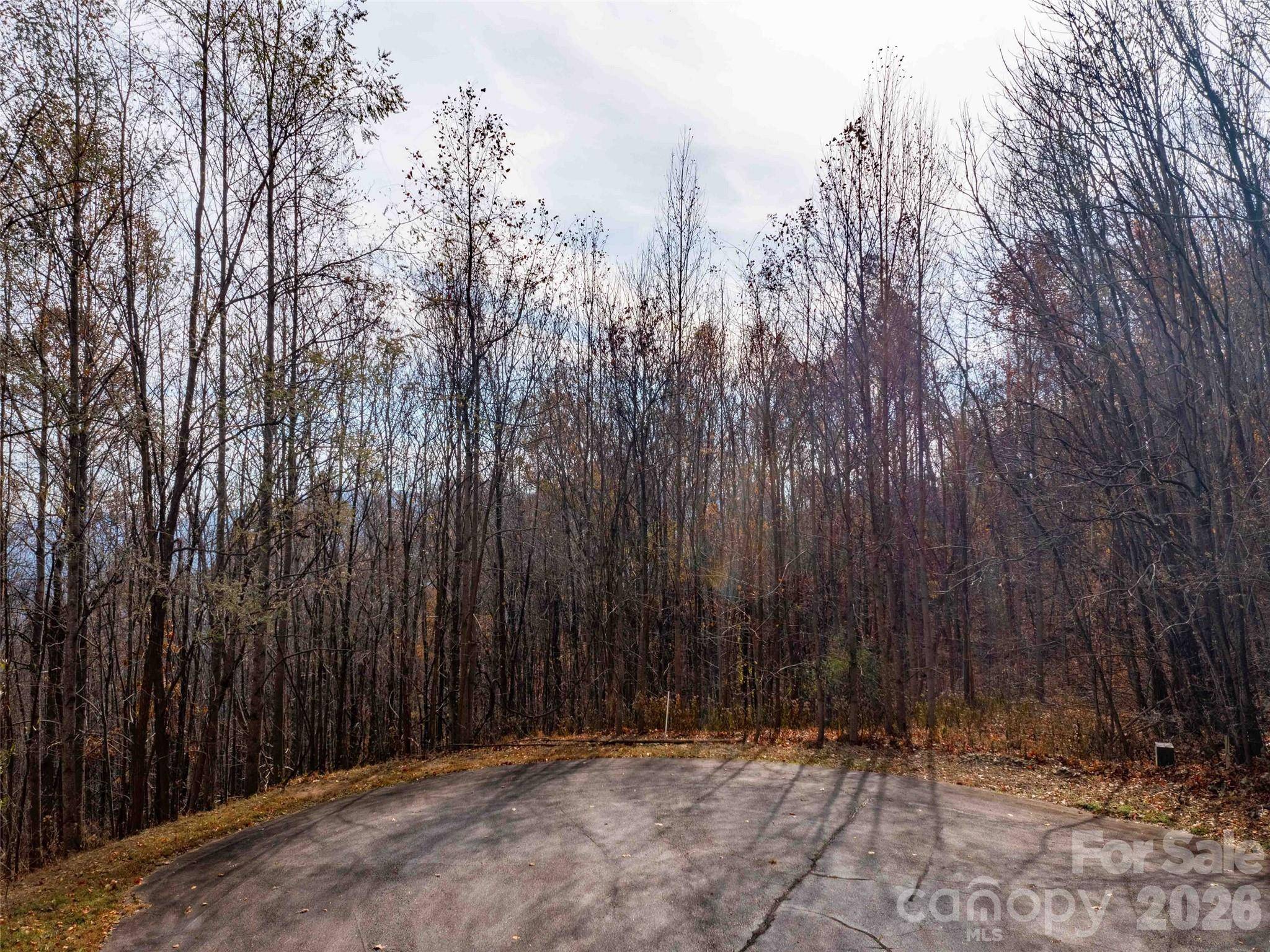 242 Nottingham DR, Mill Spring, NC 28756