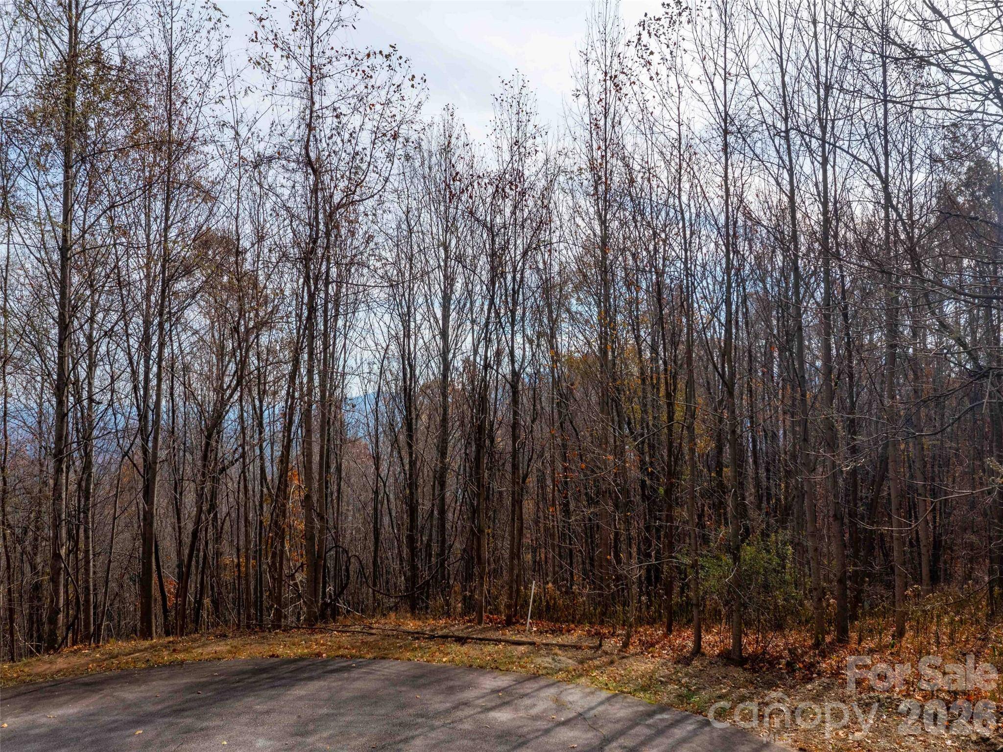242 Nottingham DR, Mill Spring, NC 28756