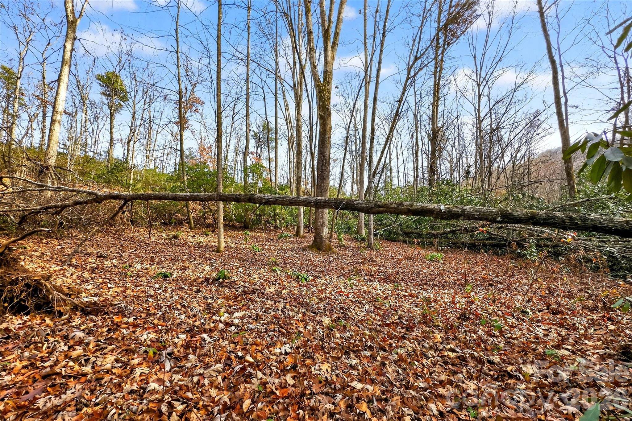 172 Crimson DR #995, Old Fort, NC 28762