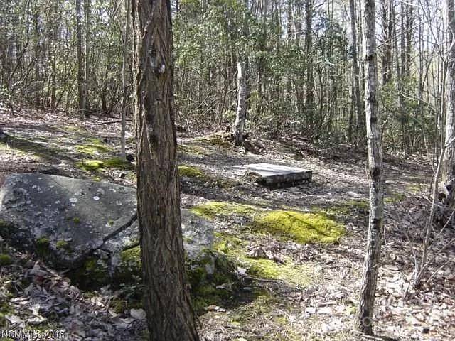 91 Old Forge DR, Bostic, NC 28018
