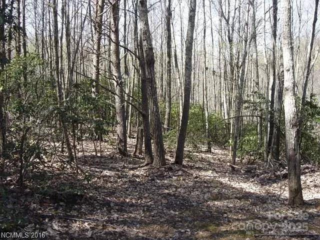 91 Old Forge DR, Bostic, NC 28018