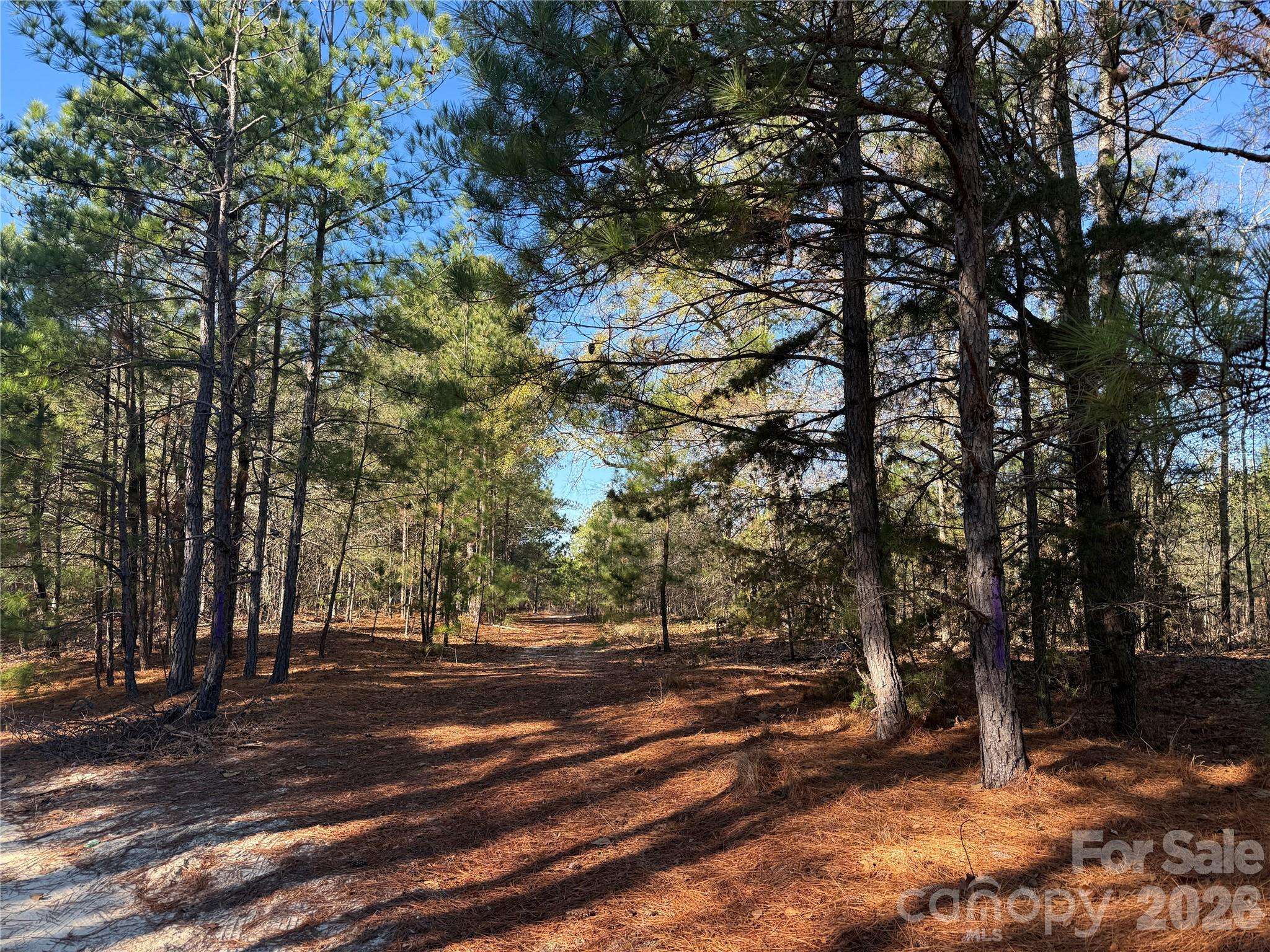 164 Haines RD, Jackson Springs, NC 27281