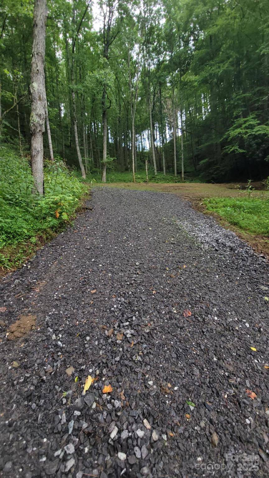 295 Bennett Branch RD, Green Mountain, NC 28740