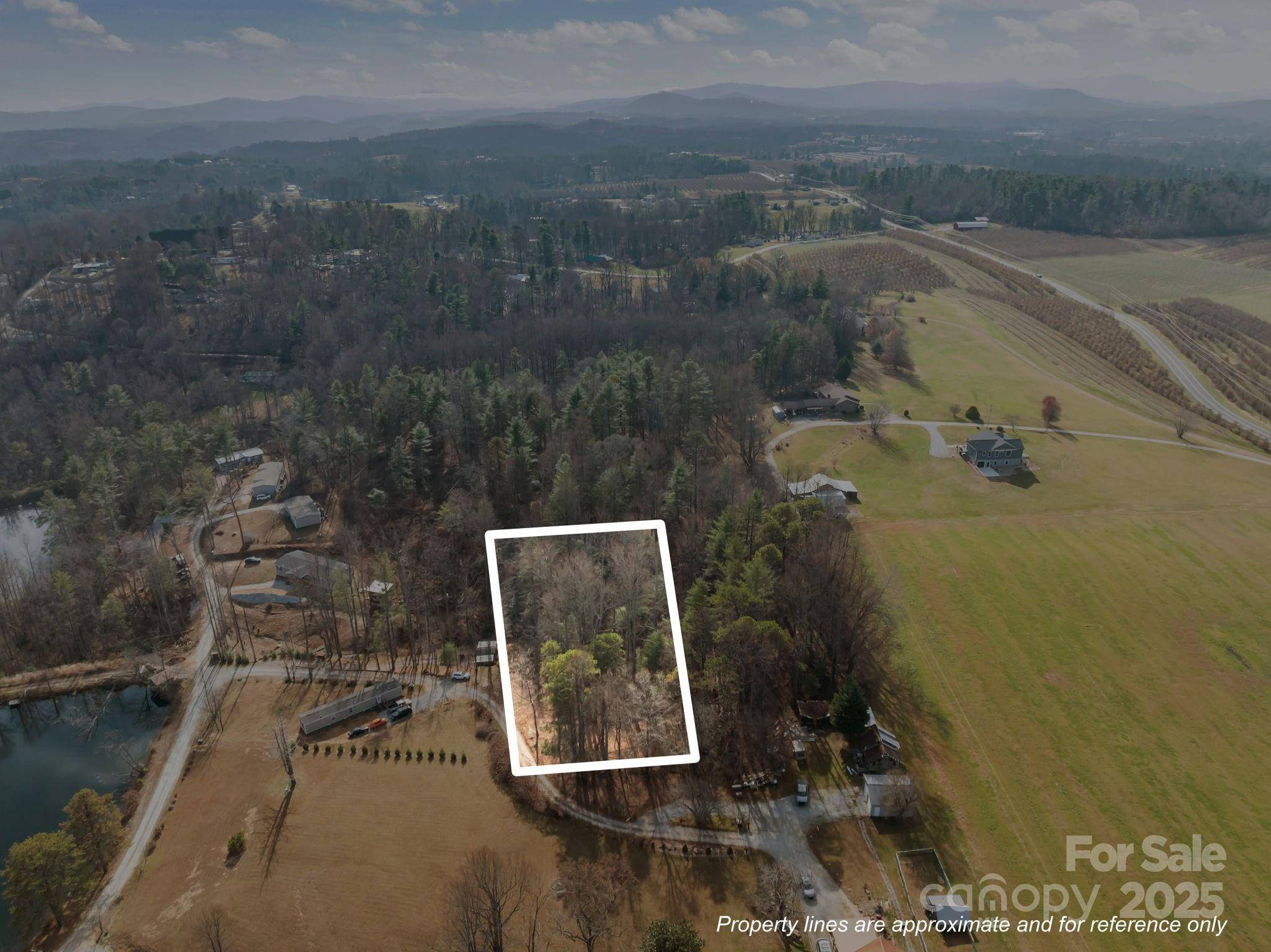 99999 Twin Lakes DR, Flat Rock, NC 28792