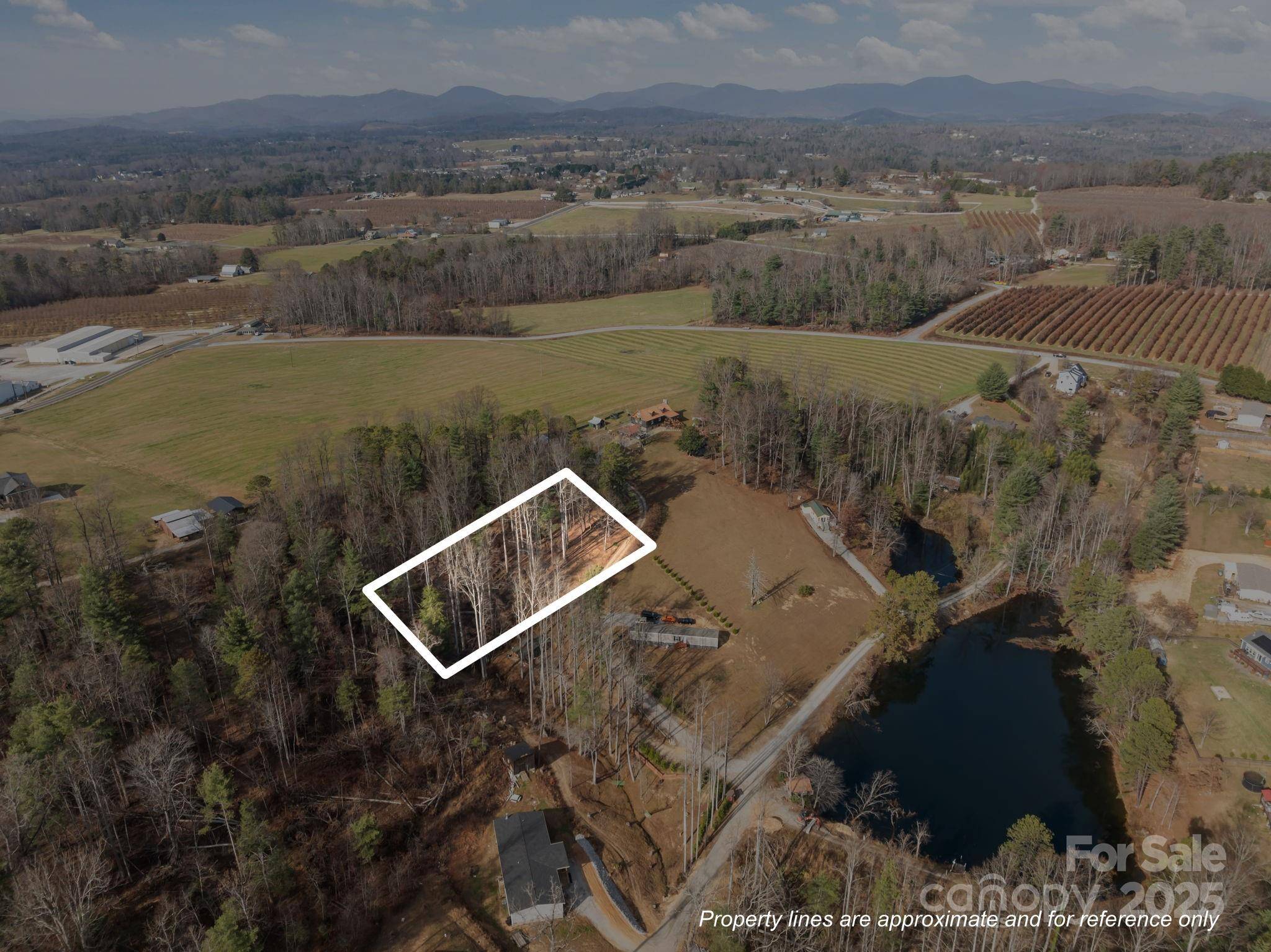 99999 Twin Lakes DR, Flat Rock, NC 28792