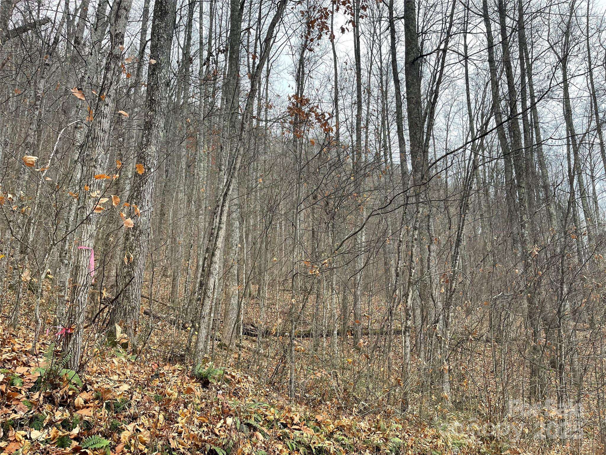 805 Sparkling Falls RD, Whittier, NC 28789