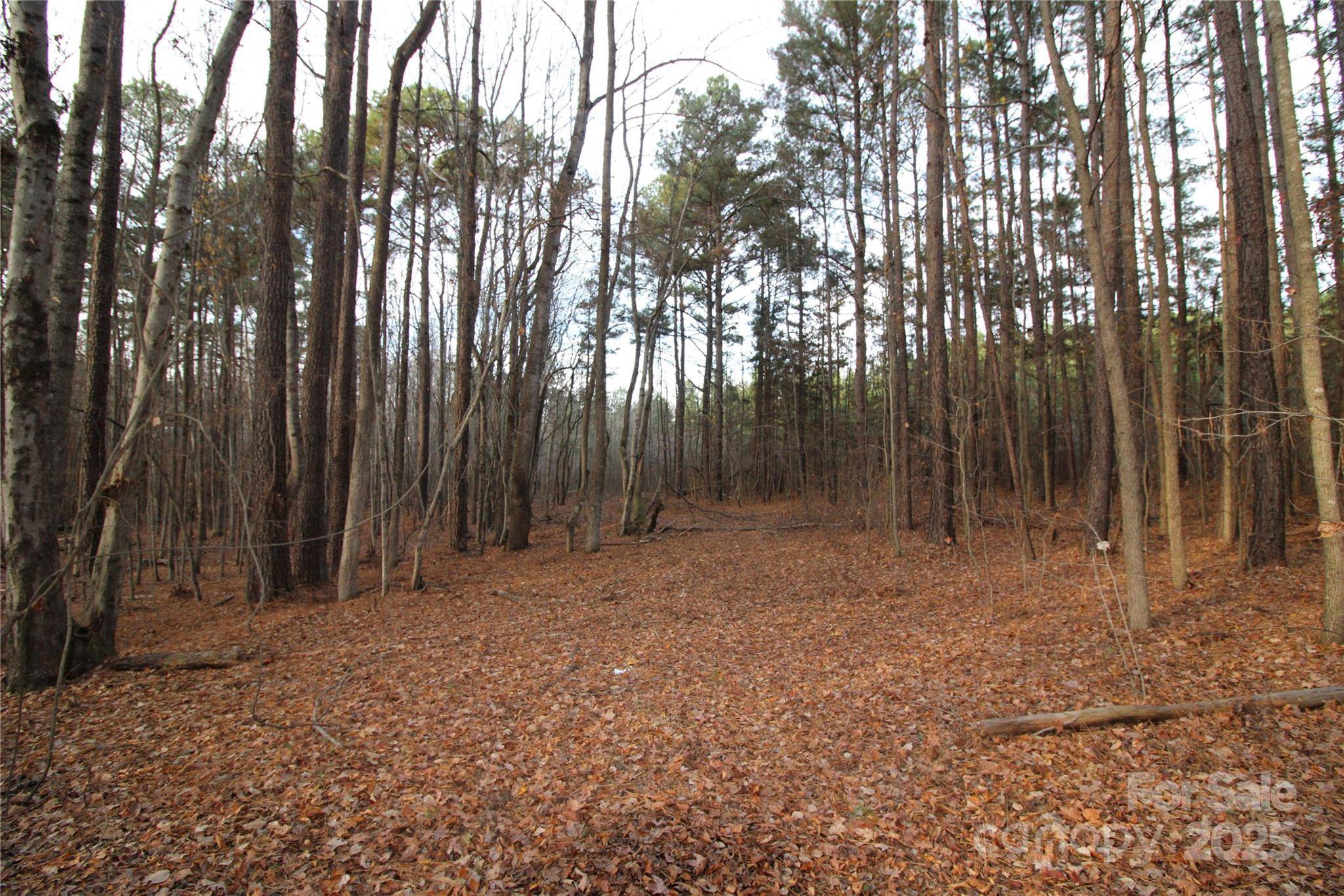 14.5+/-AC Pioneer RD, York, SC 29745