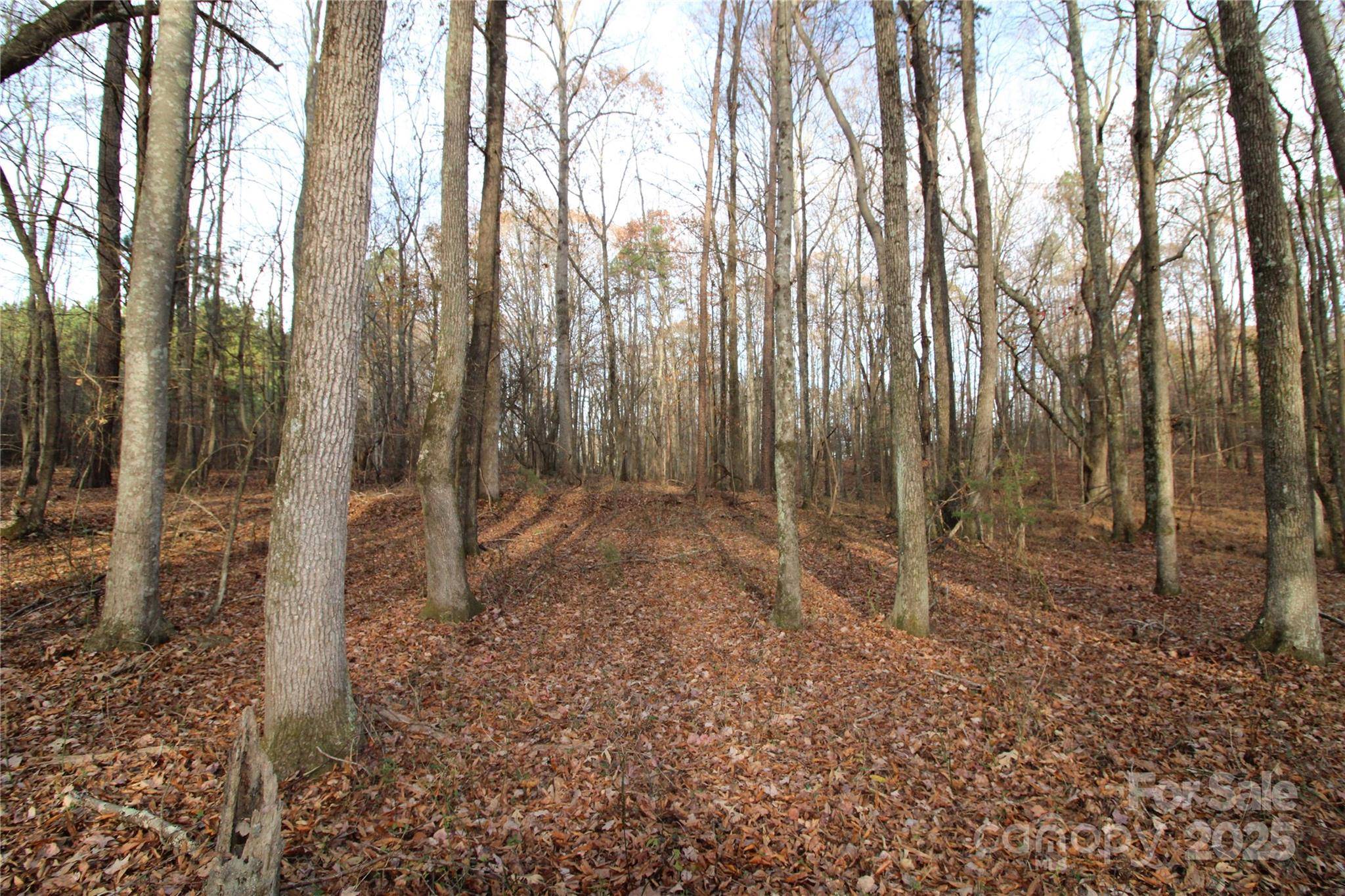 14.5+/-AC Pioneer RD, York, SC 29745