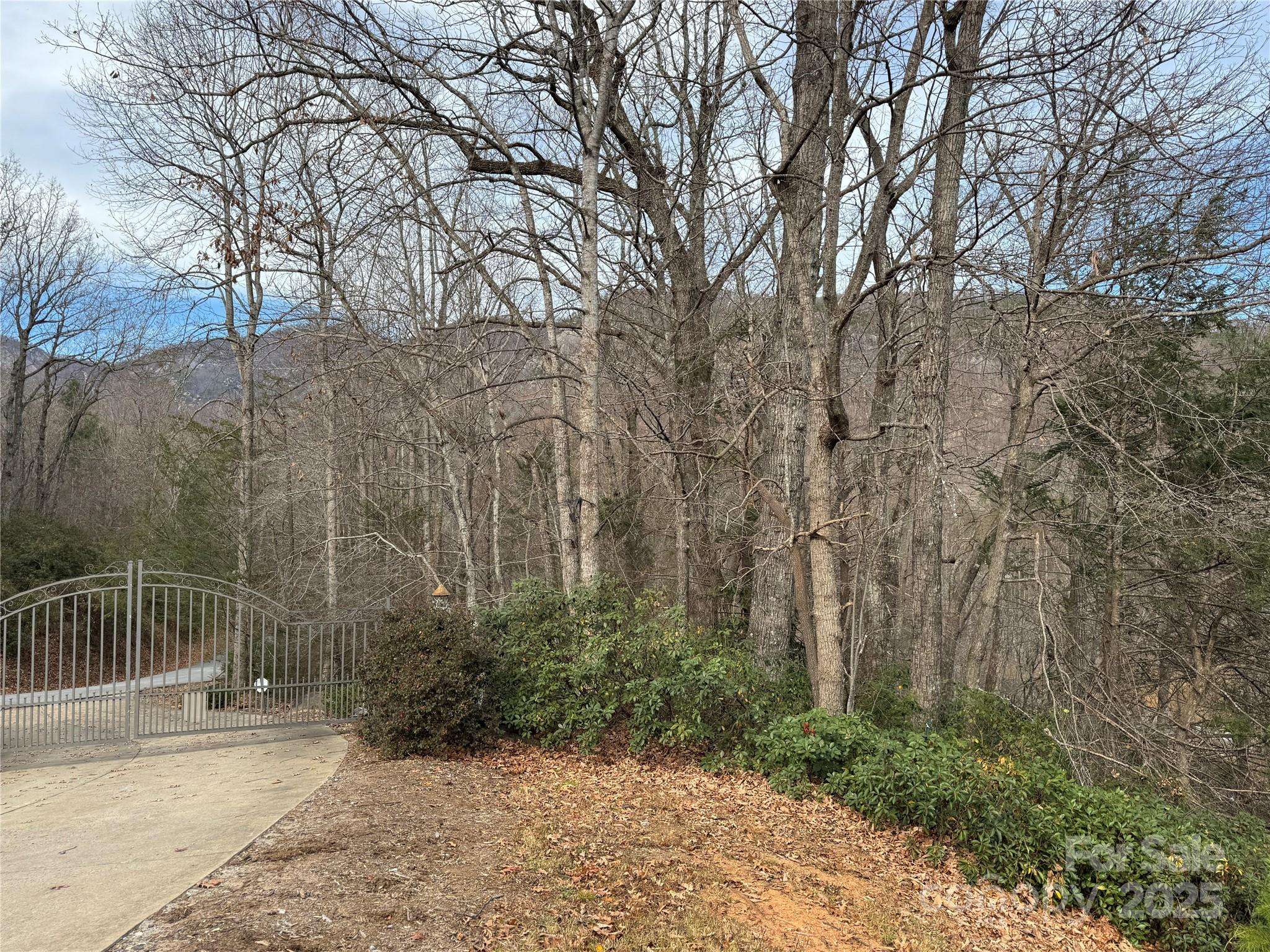 0 Deer TRL #16, Lake Lure, NC 28746