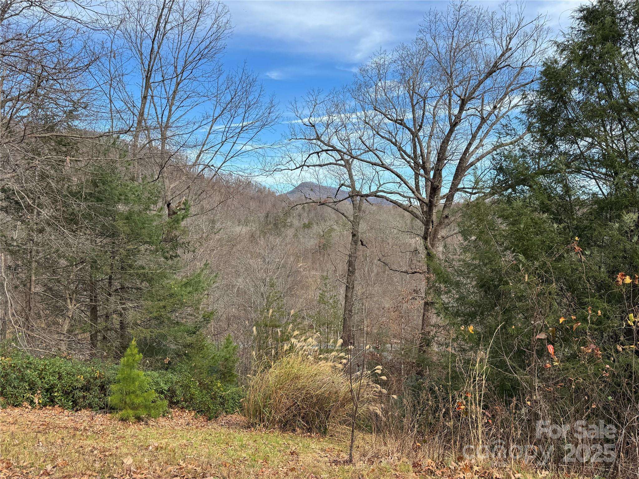 0 Deer TRL #16, Lake Lure, NC 28746