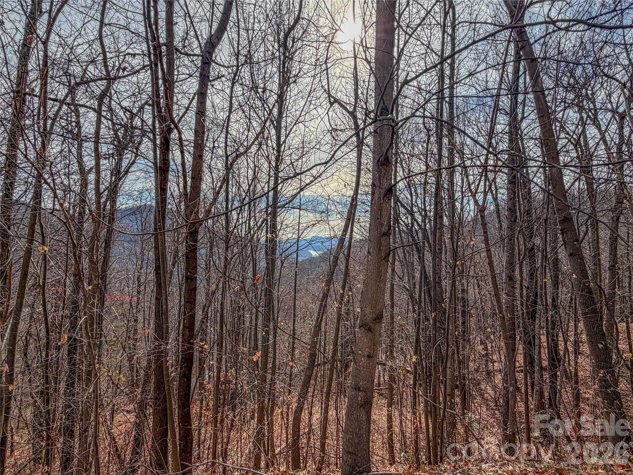 Lot 375 Rolling Ridge TRL, Lake Lure, NC 28746