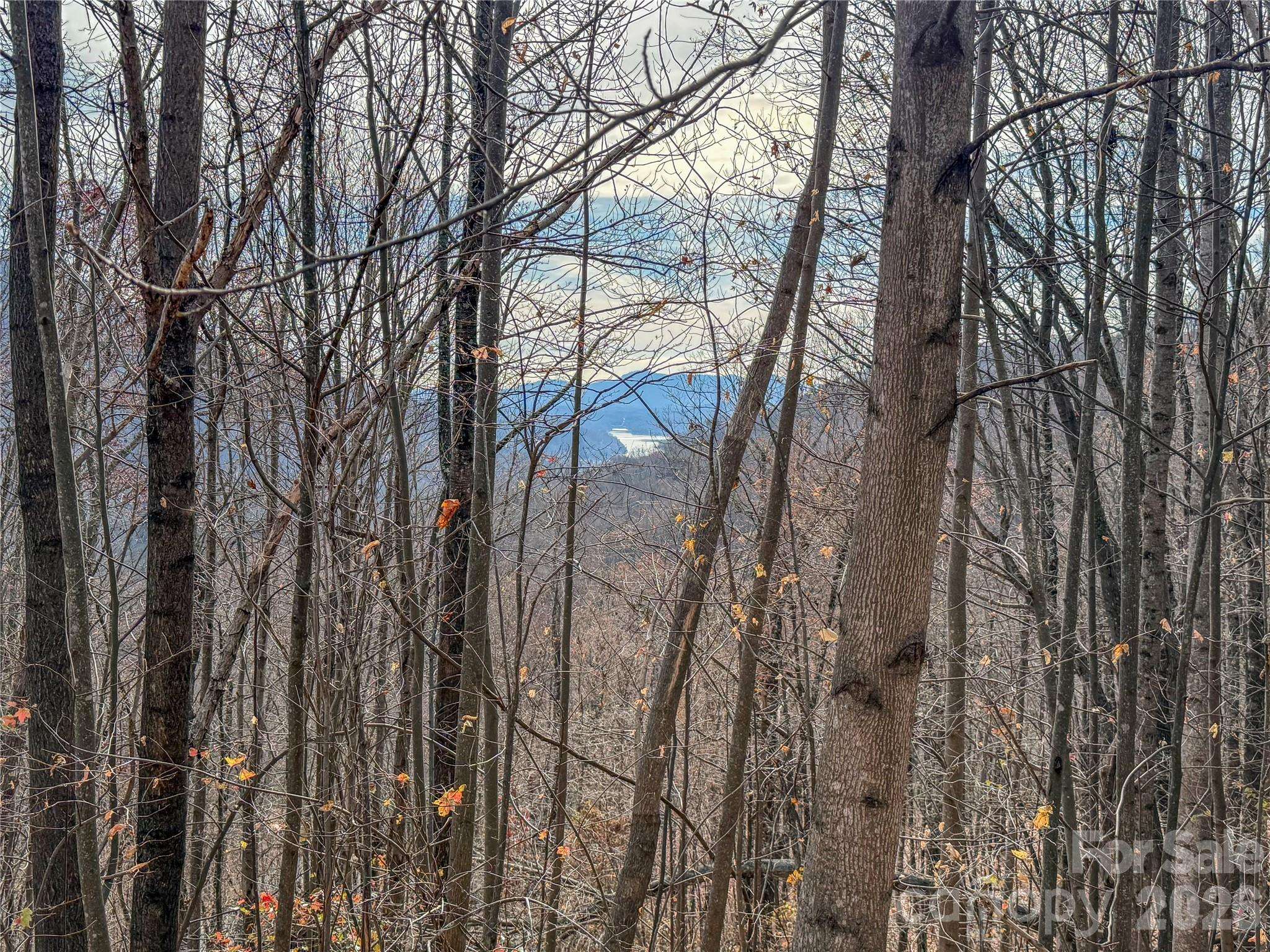 Lot 375 Rolling Ridge TRL, Lake Lure, NC 28746