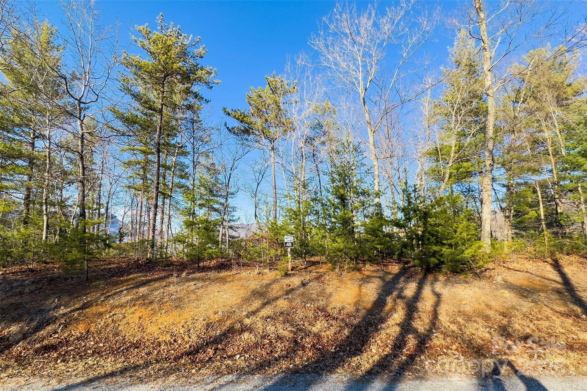 Lot #45 Fox Ridge TRL, Marion, NC 28752