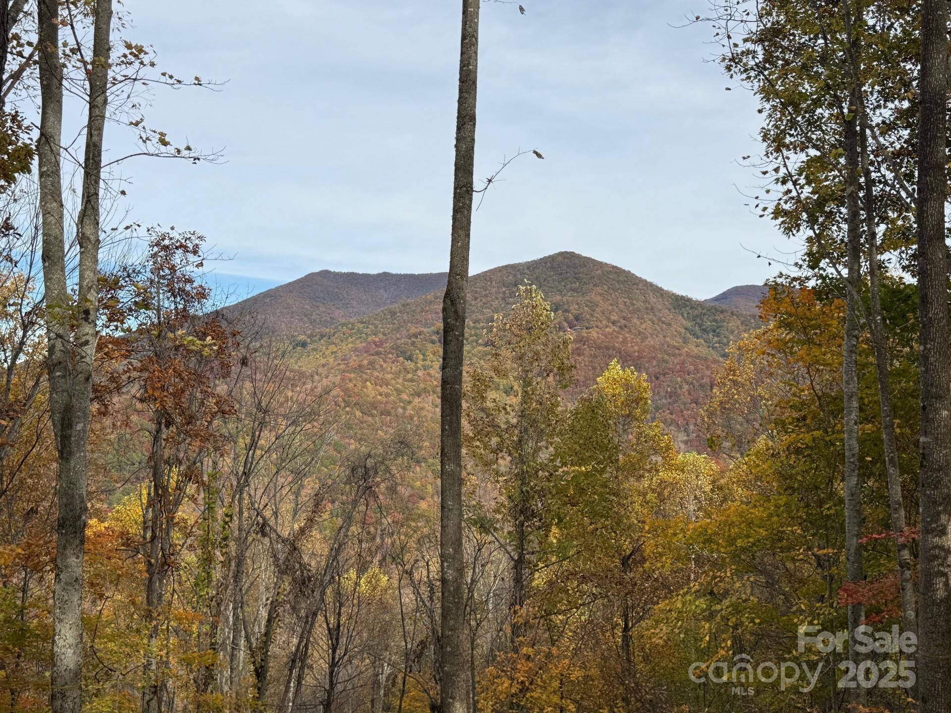 223 Flying Dutchman RD, Sylva, NC 28779