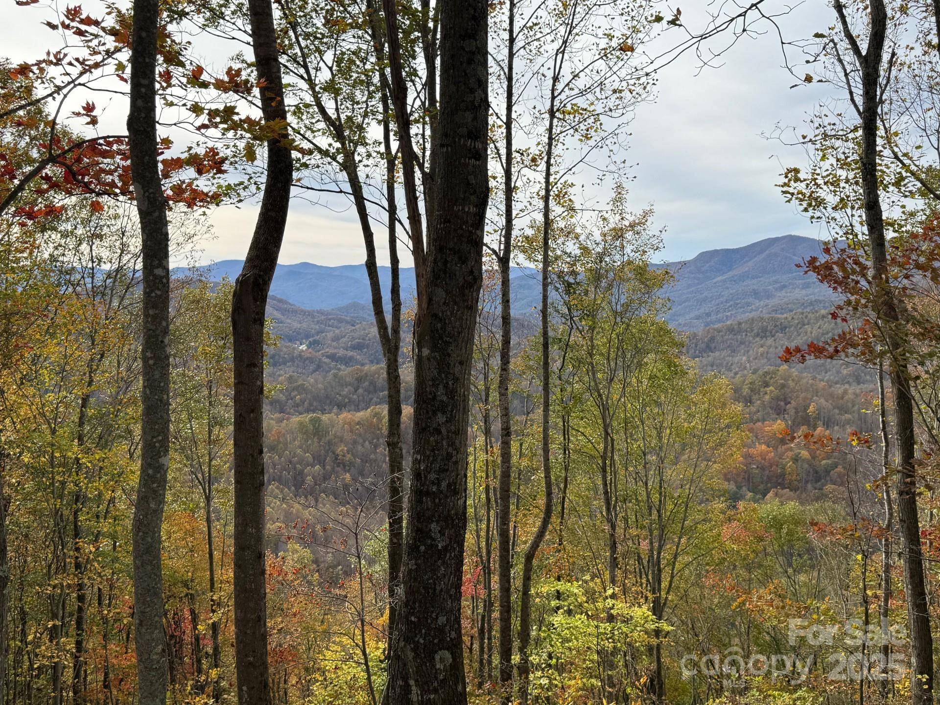 223 Flying Dutchman RD, Sylva, NC 28779