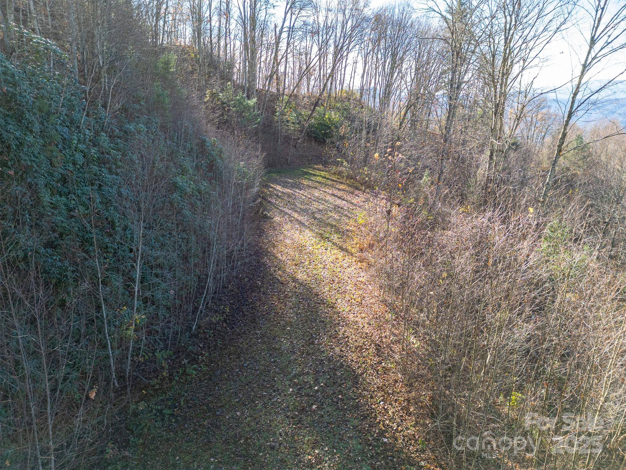 0000 Hyacinth DR, Clyde, NC 28721