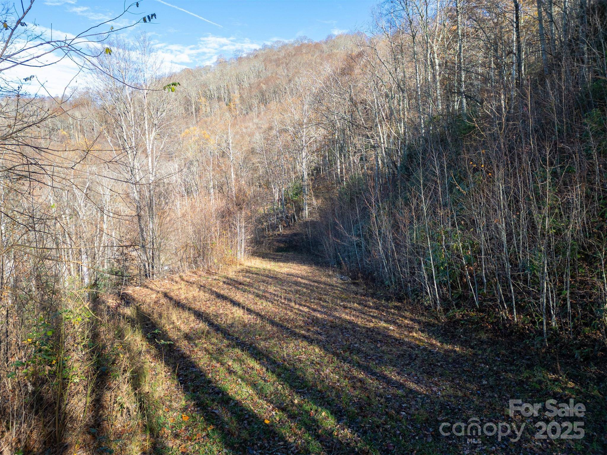 0000 Hyacinth DR, Clyde, NC 28721