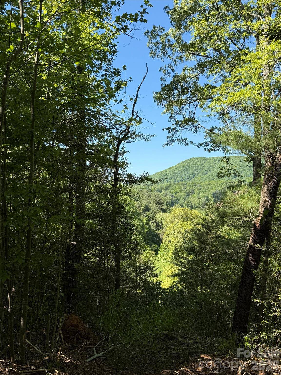 Lot # 3 West Legacy DR #3, Hendersonville, NC 28739
