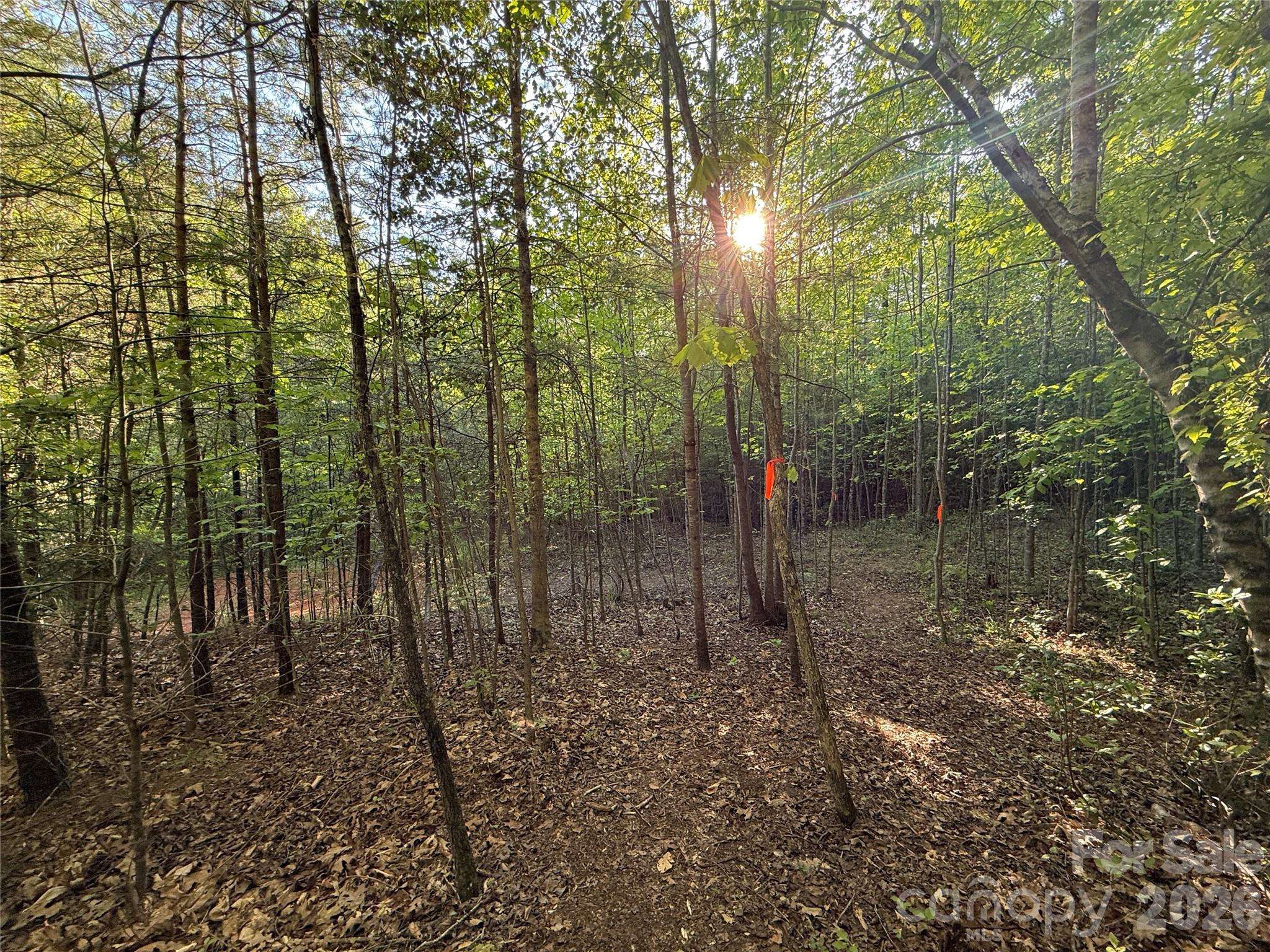 Lot # 5 West Legacy DR #5, Hendersonville, NC 28739