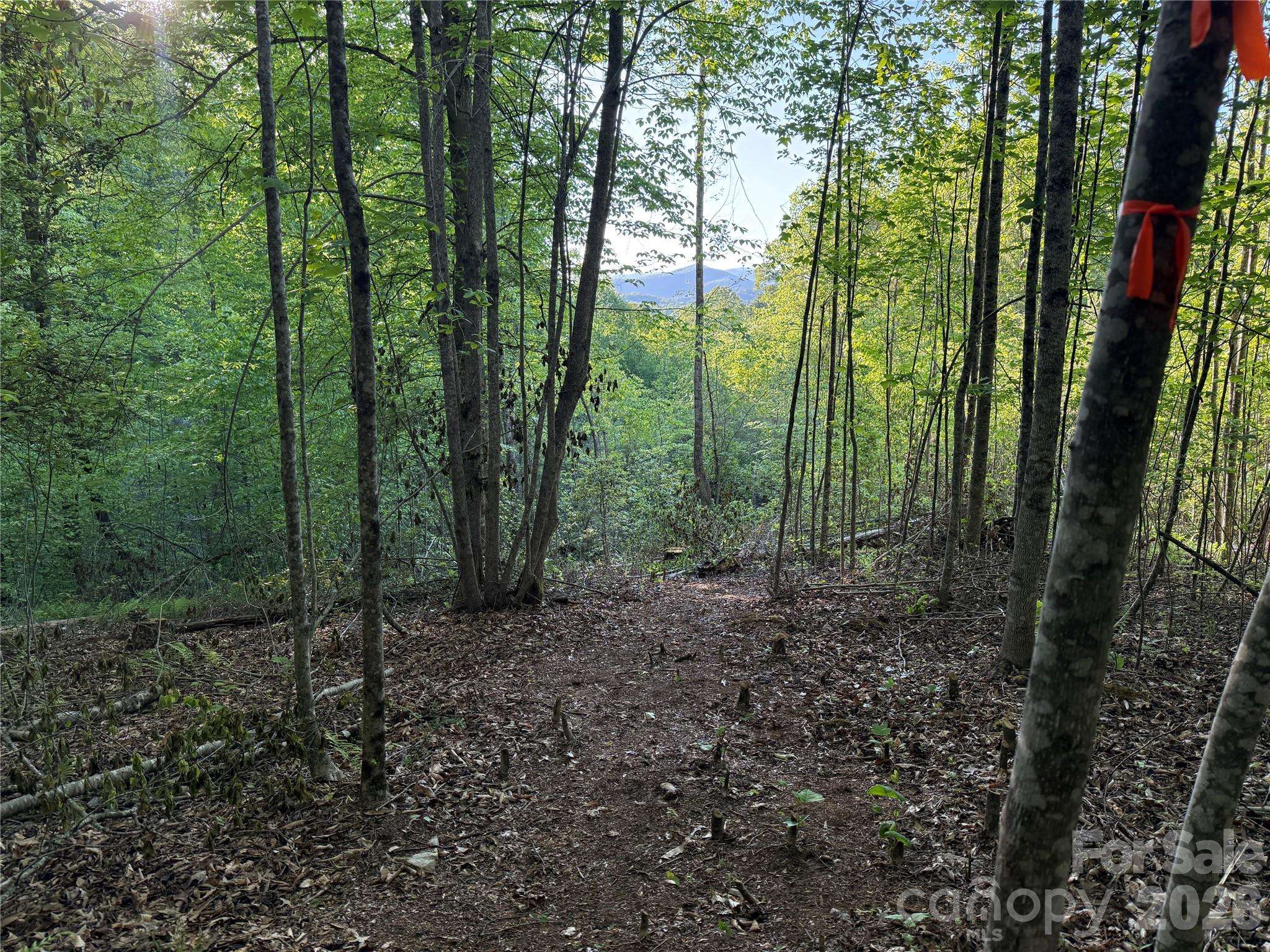 Lot # 6 West Legacy DR #6, Hendersonville, NC 28739