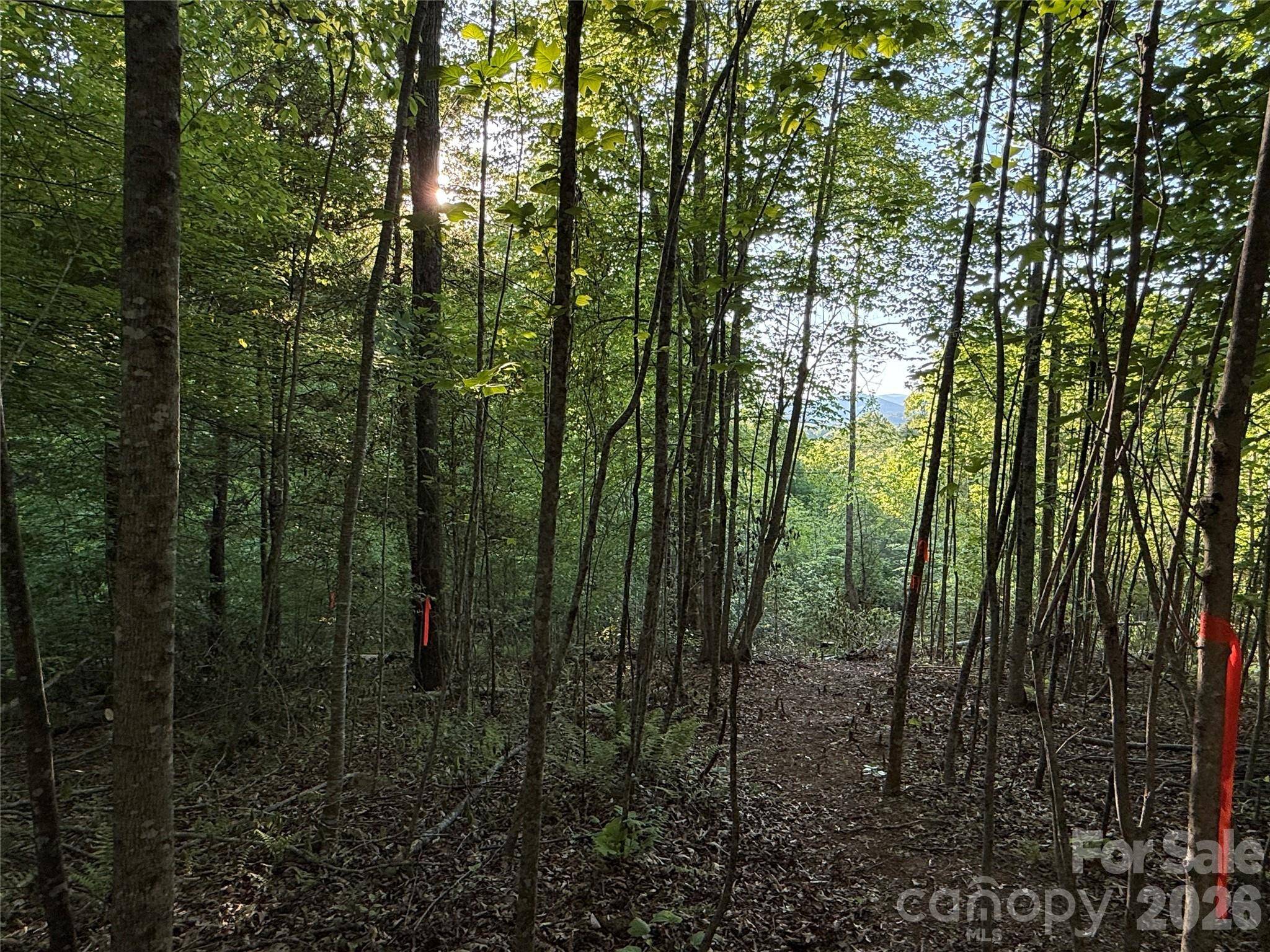Lot # 7 West Legacy DR #7, Hendersonville, NC 28739