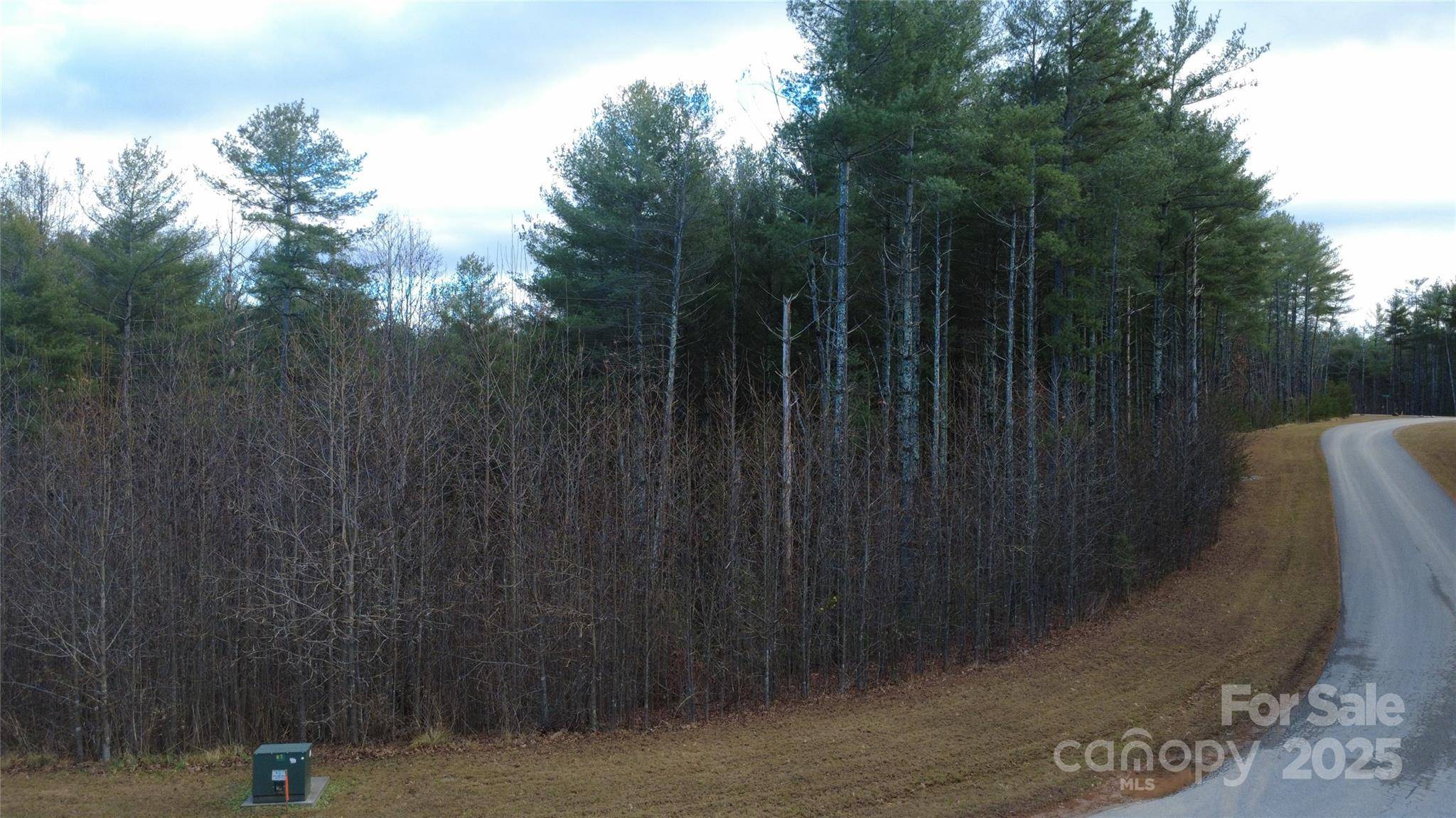 597 Peninsula Reserve RD #34, Nebo, NC 28761
