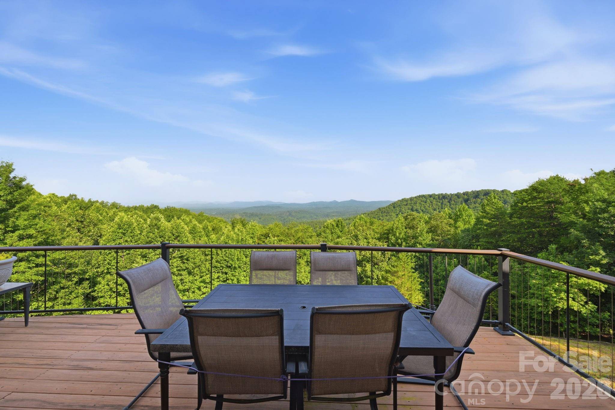 146 Sarinac DR, Bostic, NC 28018