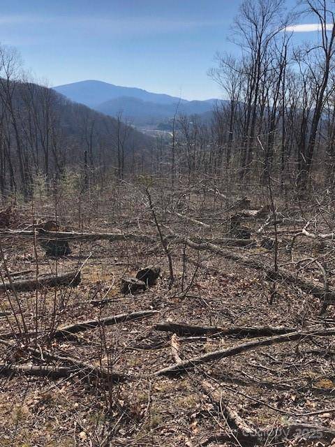 000 Butler Ridge TRL #26, Hendersonville, NC 28792